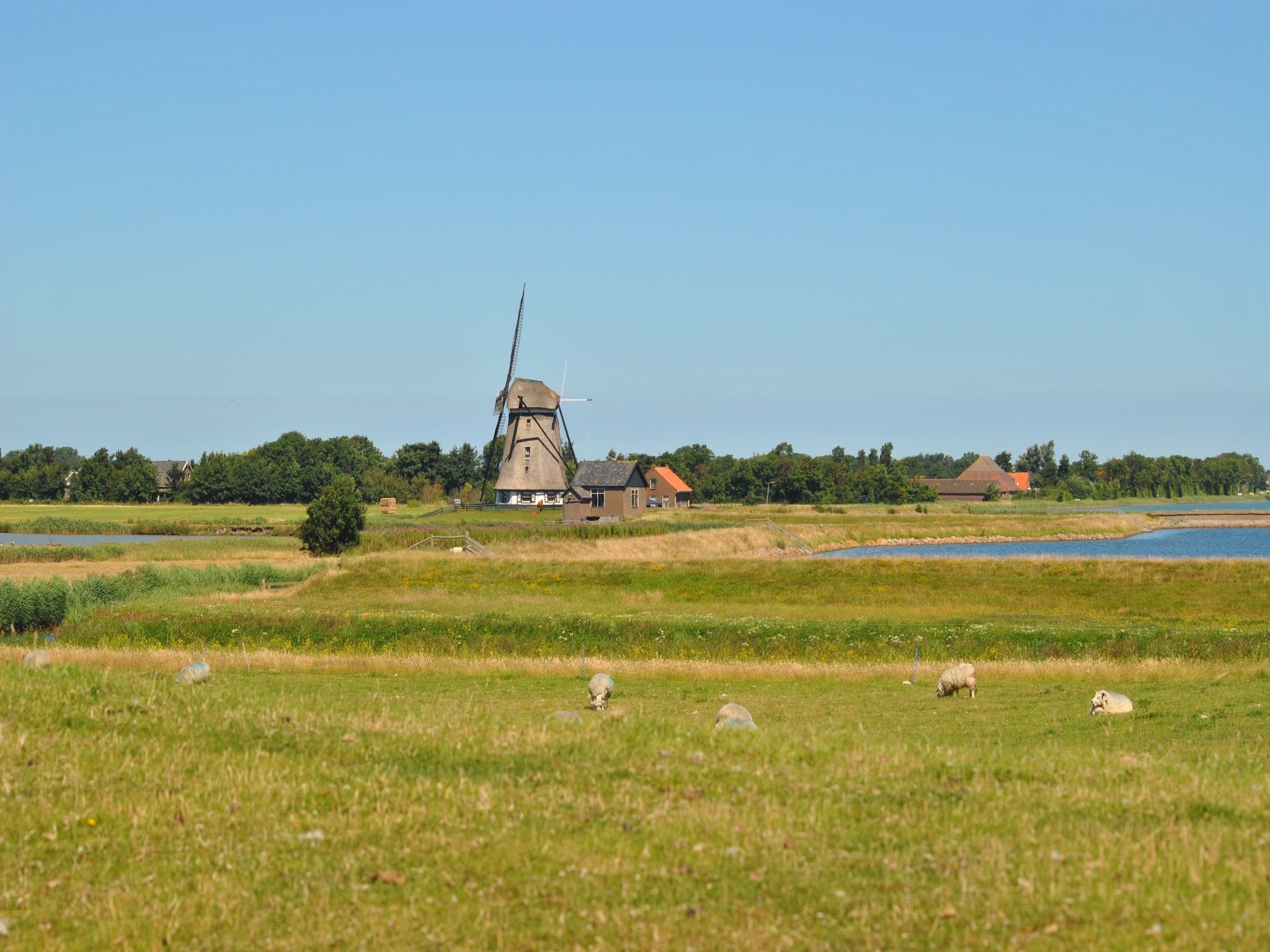 Florijn 1 in Oost-Texel - Foto 17 van 24