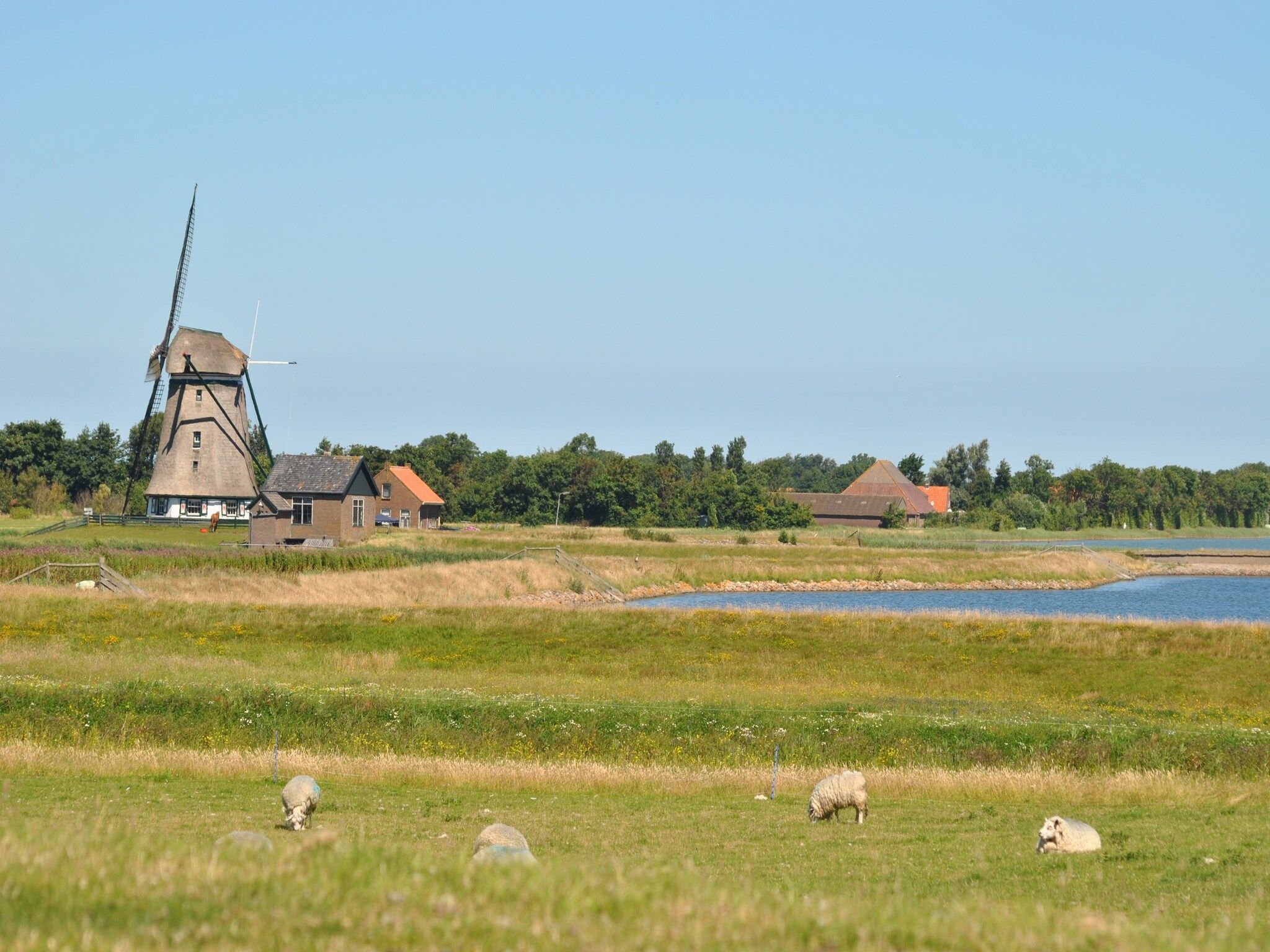 Het uitzicht vanaf Florijn 1 in Oost-Texel