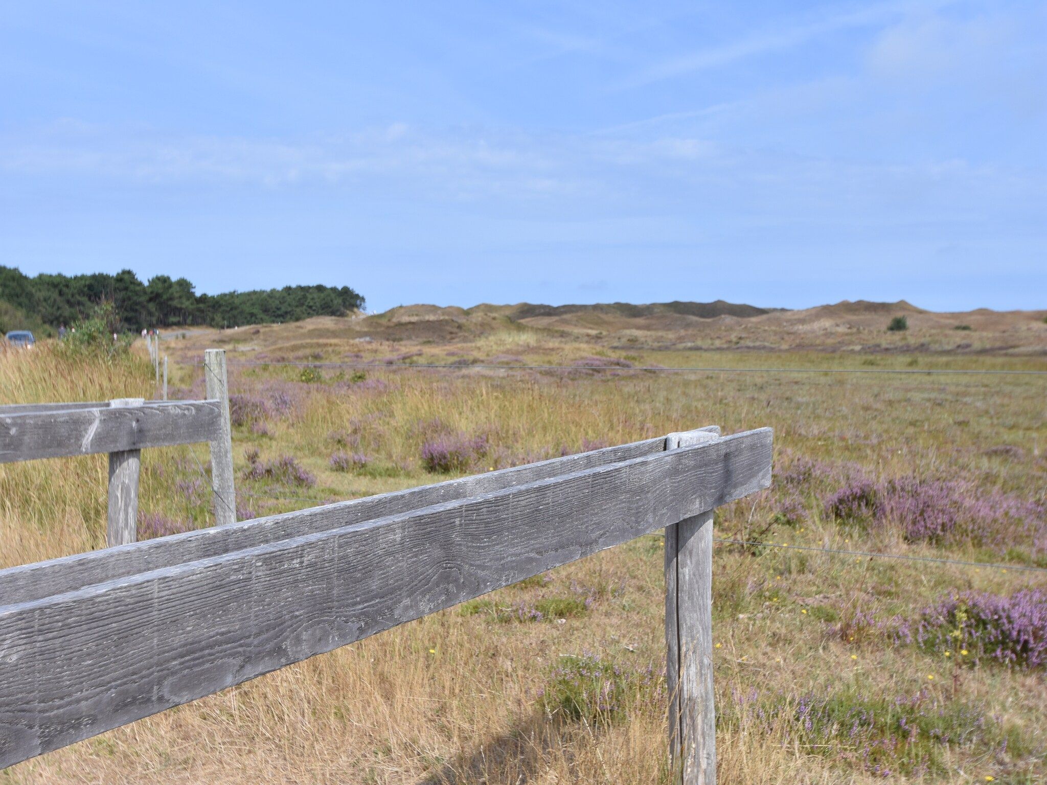 De omgeving van Florijn 2 in Oost-Texel
