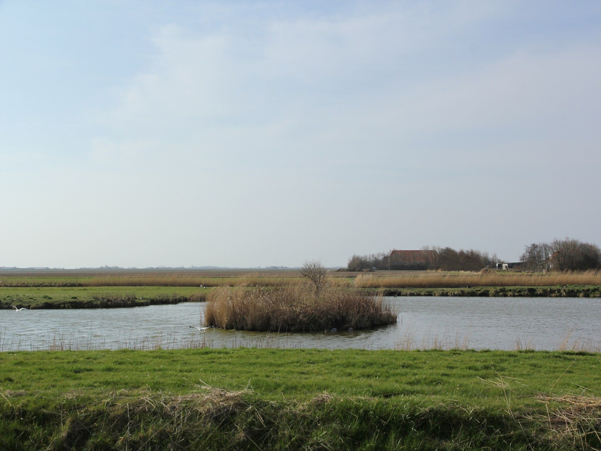 De omgeving van Villa Hoogelandt 70 in De Koog-Texel