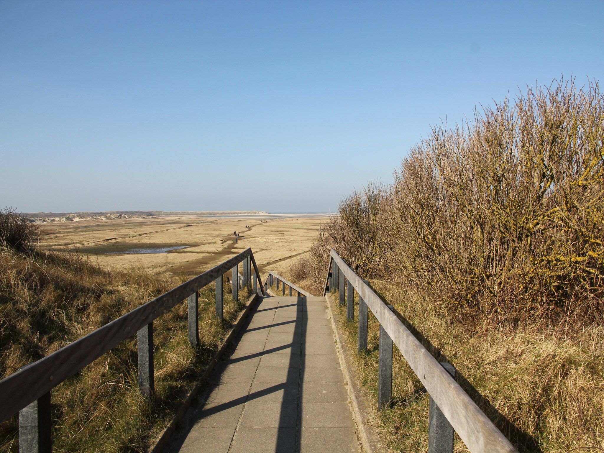 De omgeving van Villa Hoogelandt 70 in De Koog-Texel
