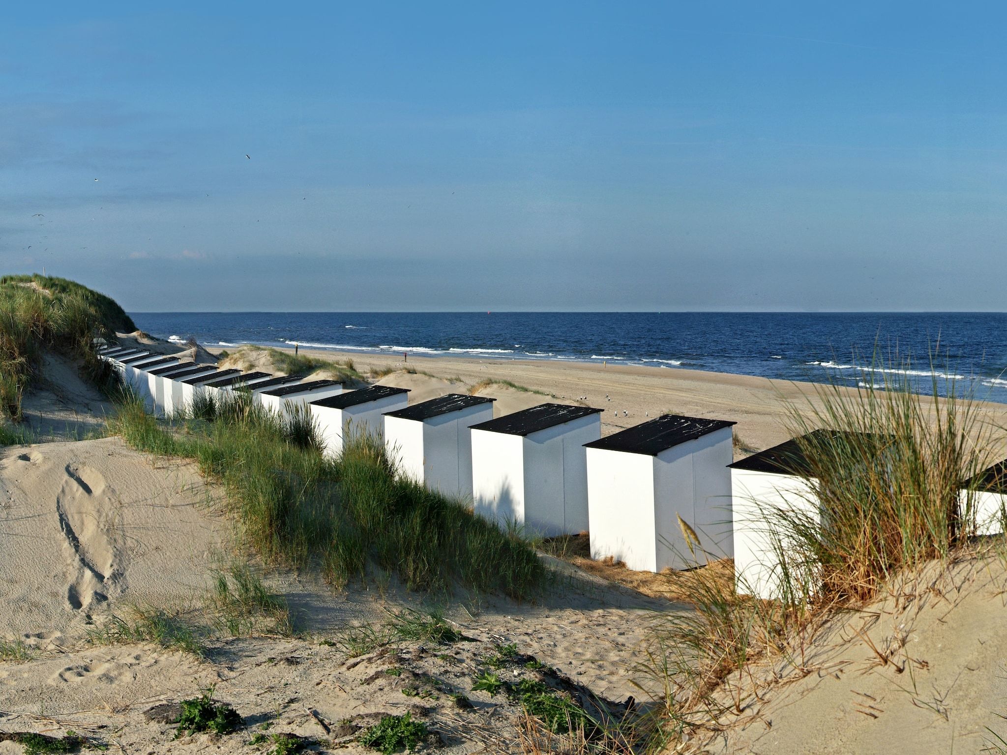 De omgeving van Villa  Hoogelandt 10 in De Koog Texel