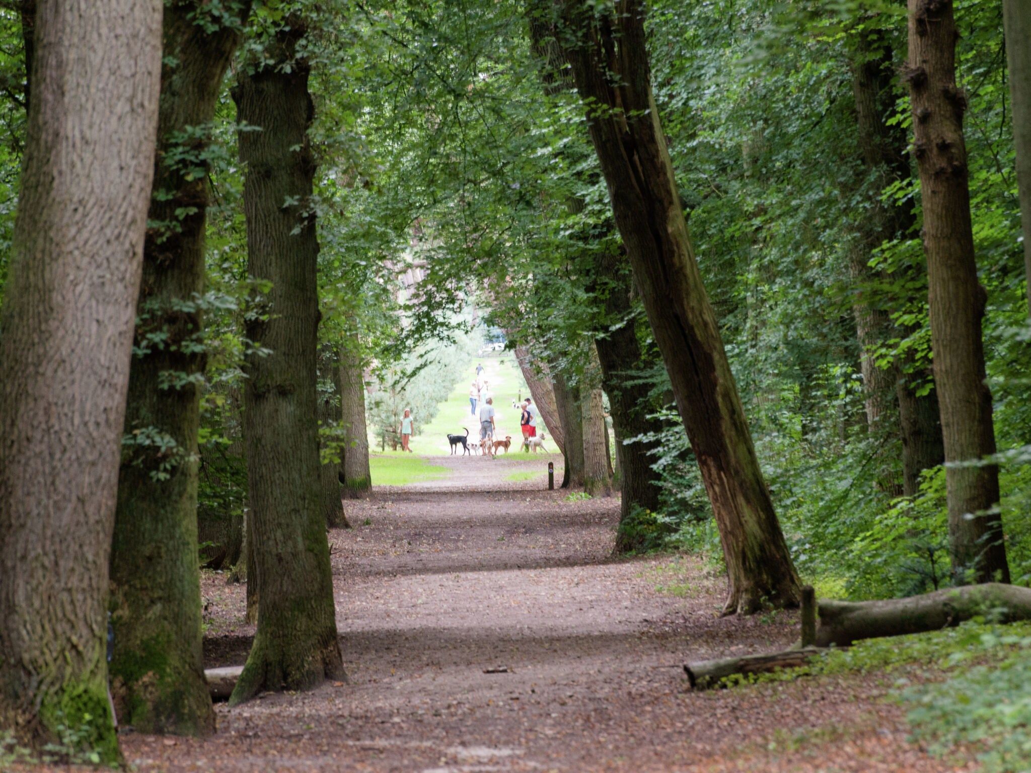 De omgeving van Hof van Craeck 6 pers in Bergen