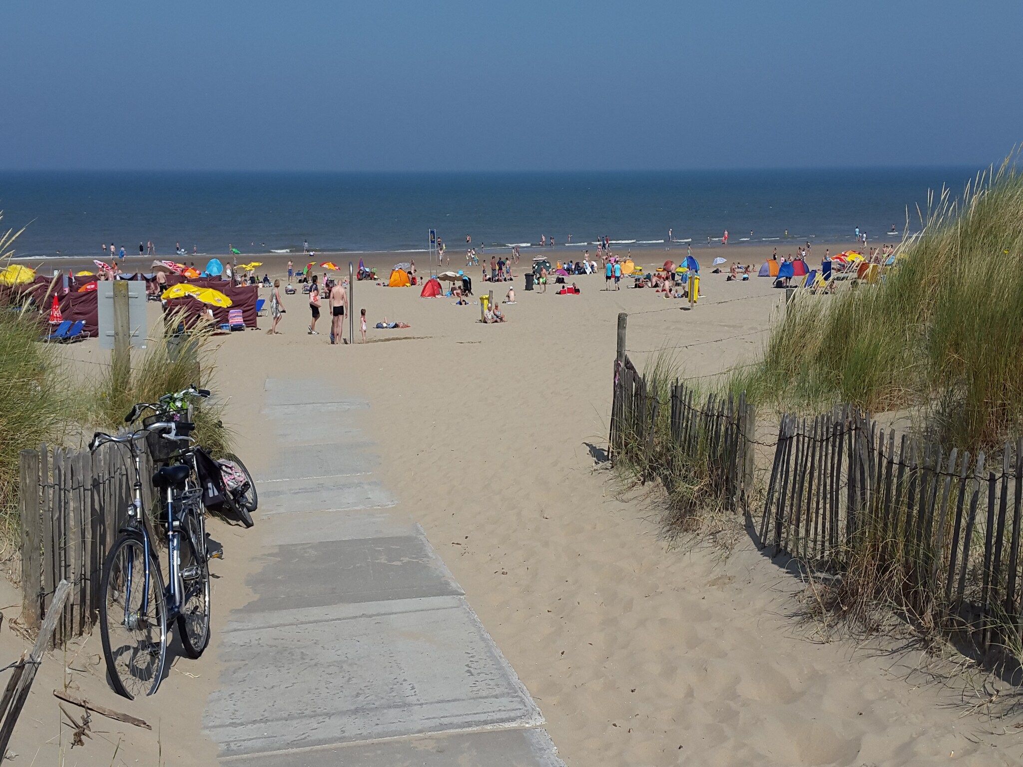 De omgeving van Shelley Beach House in Noordwijkerhout