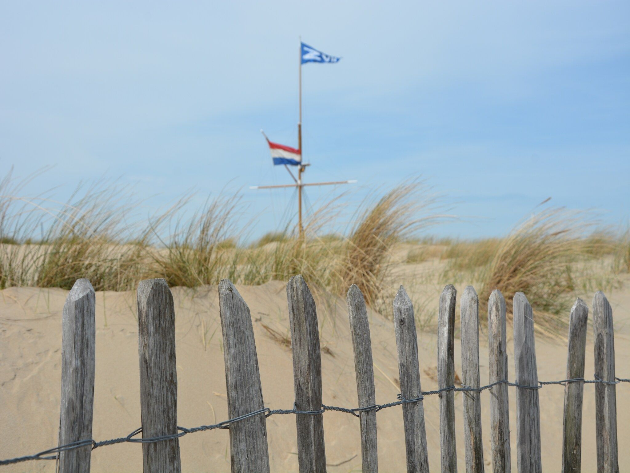 De omgeving van Shelley Beach House in Noordwijkerhout