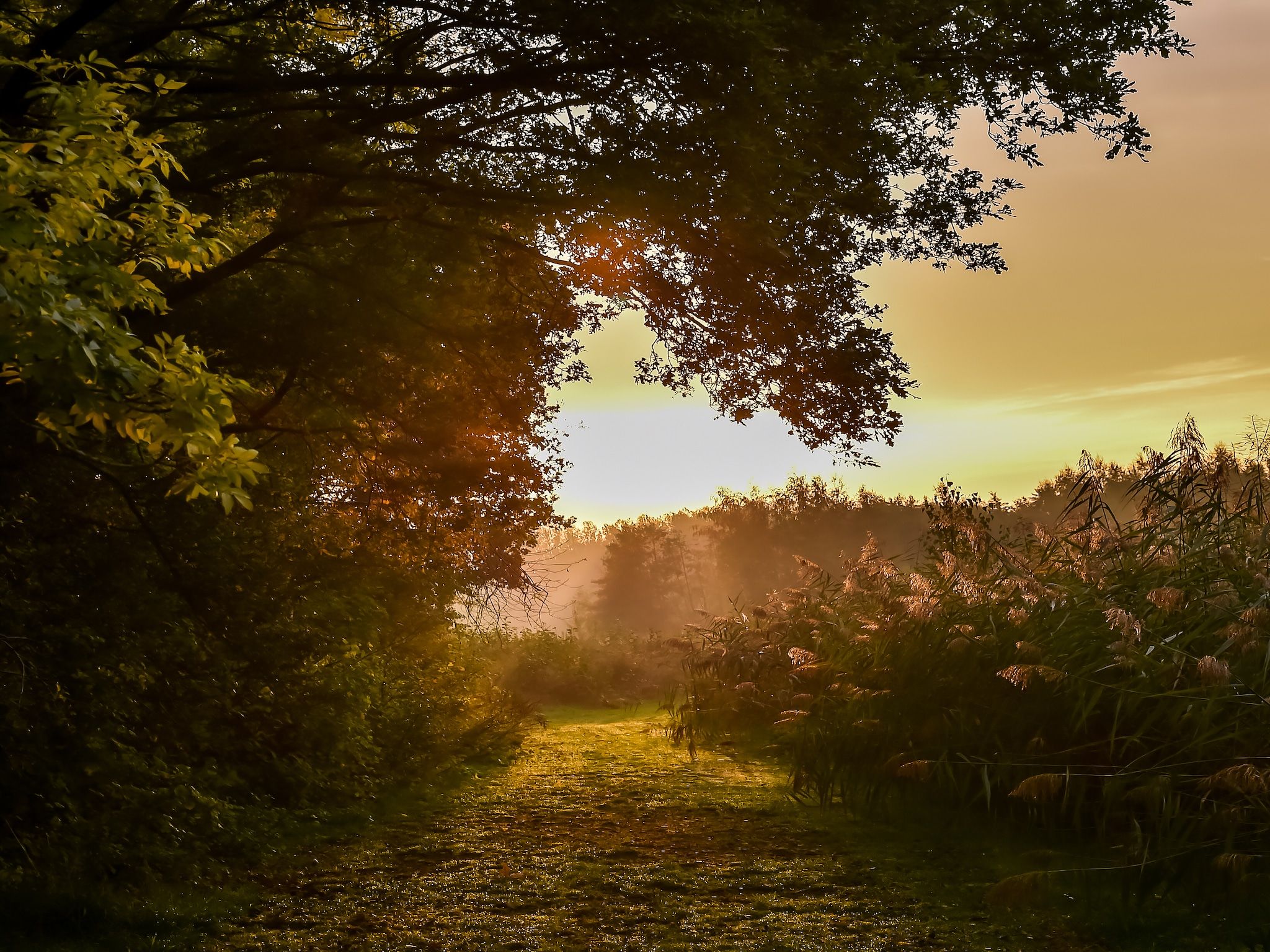 Vakantiepark Mölke 11 in Zuna - Foto 29 van 40