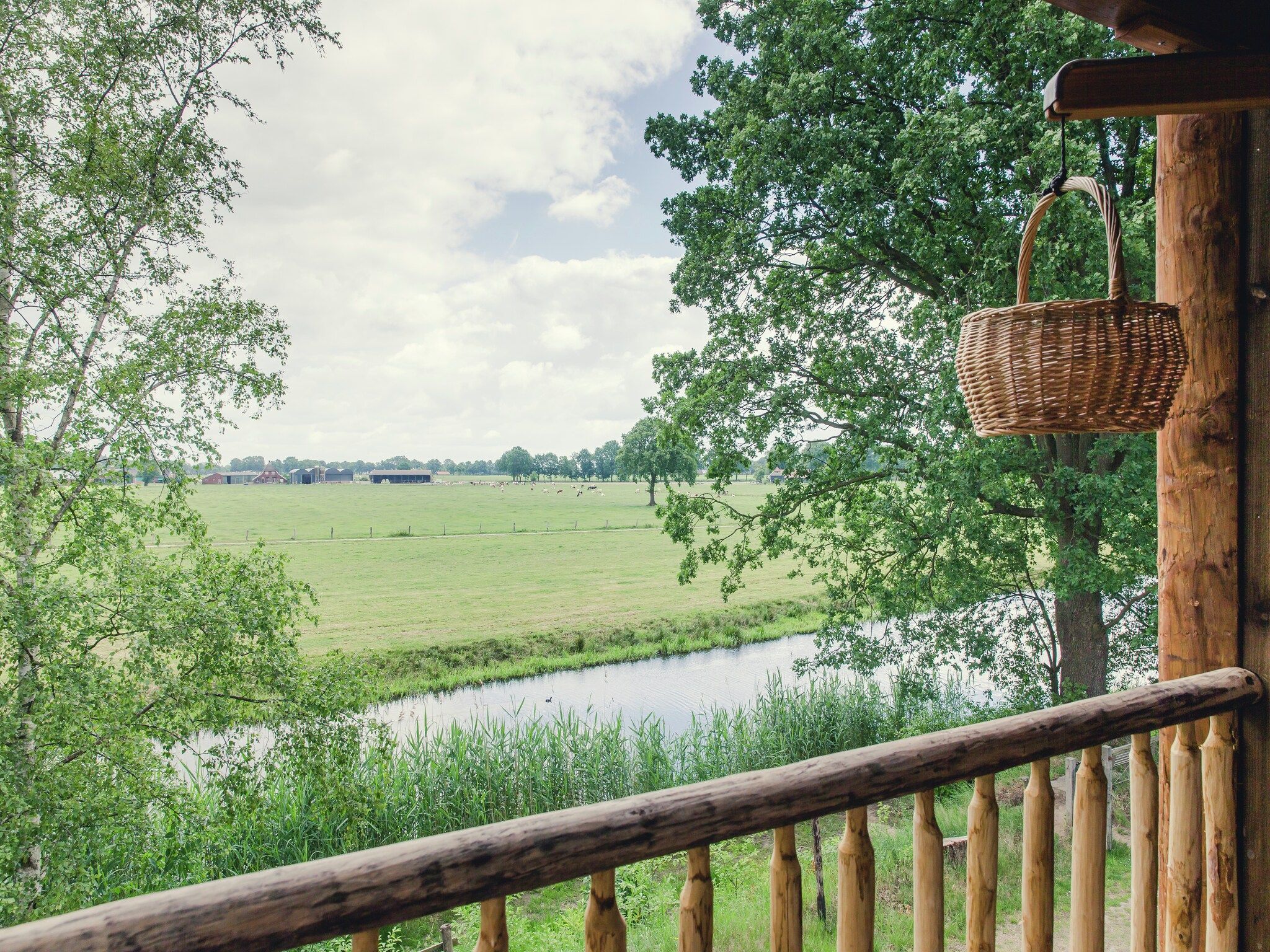 Het uitzicht vanaf Vakantiepark Mölke 14 in Zuna
