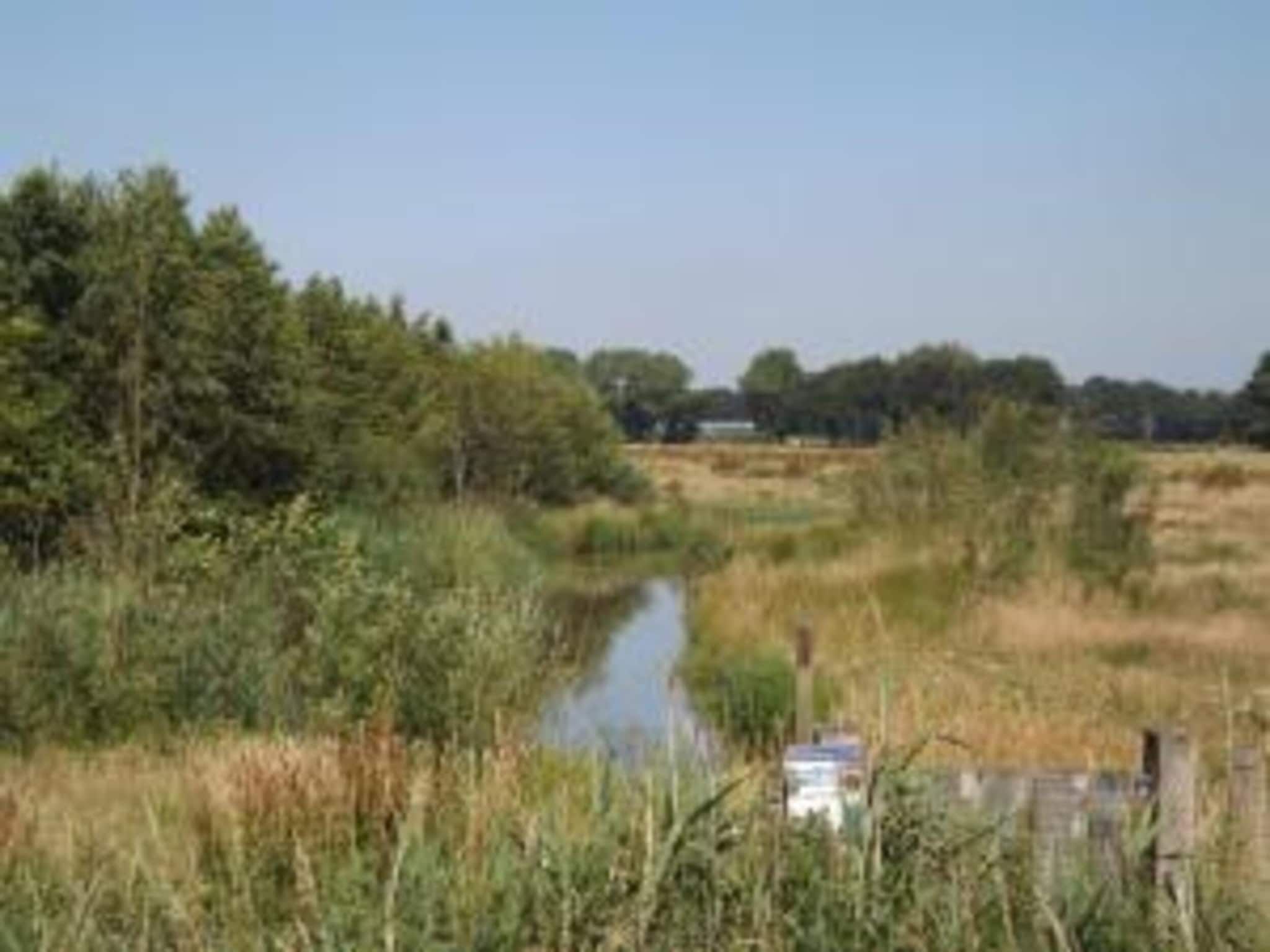 Bungalow 87 in Stramproy - Foto 34 van 40