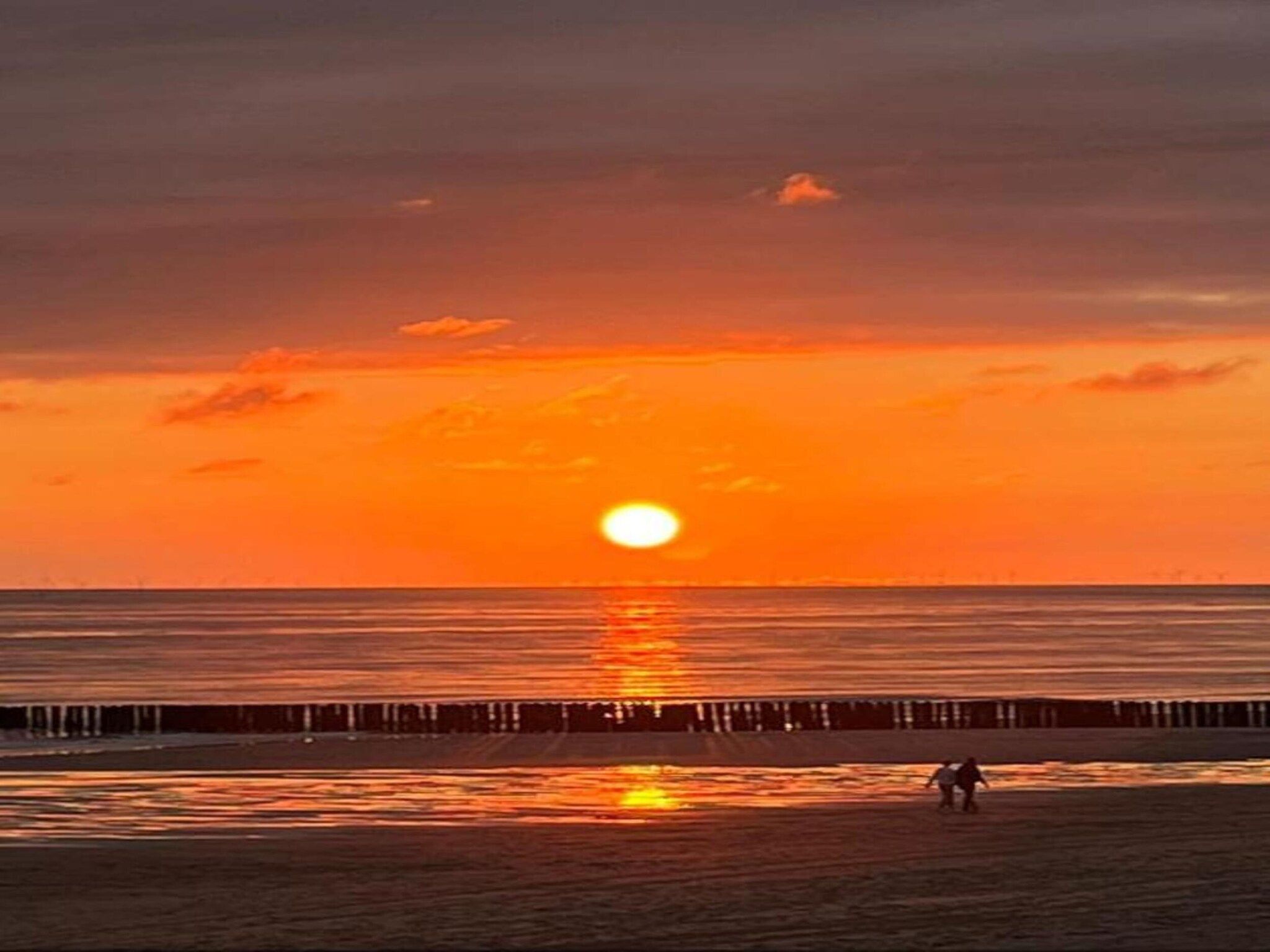 De omgeving van Noordzee Résidence Dishoek 5 in Koudekerke