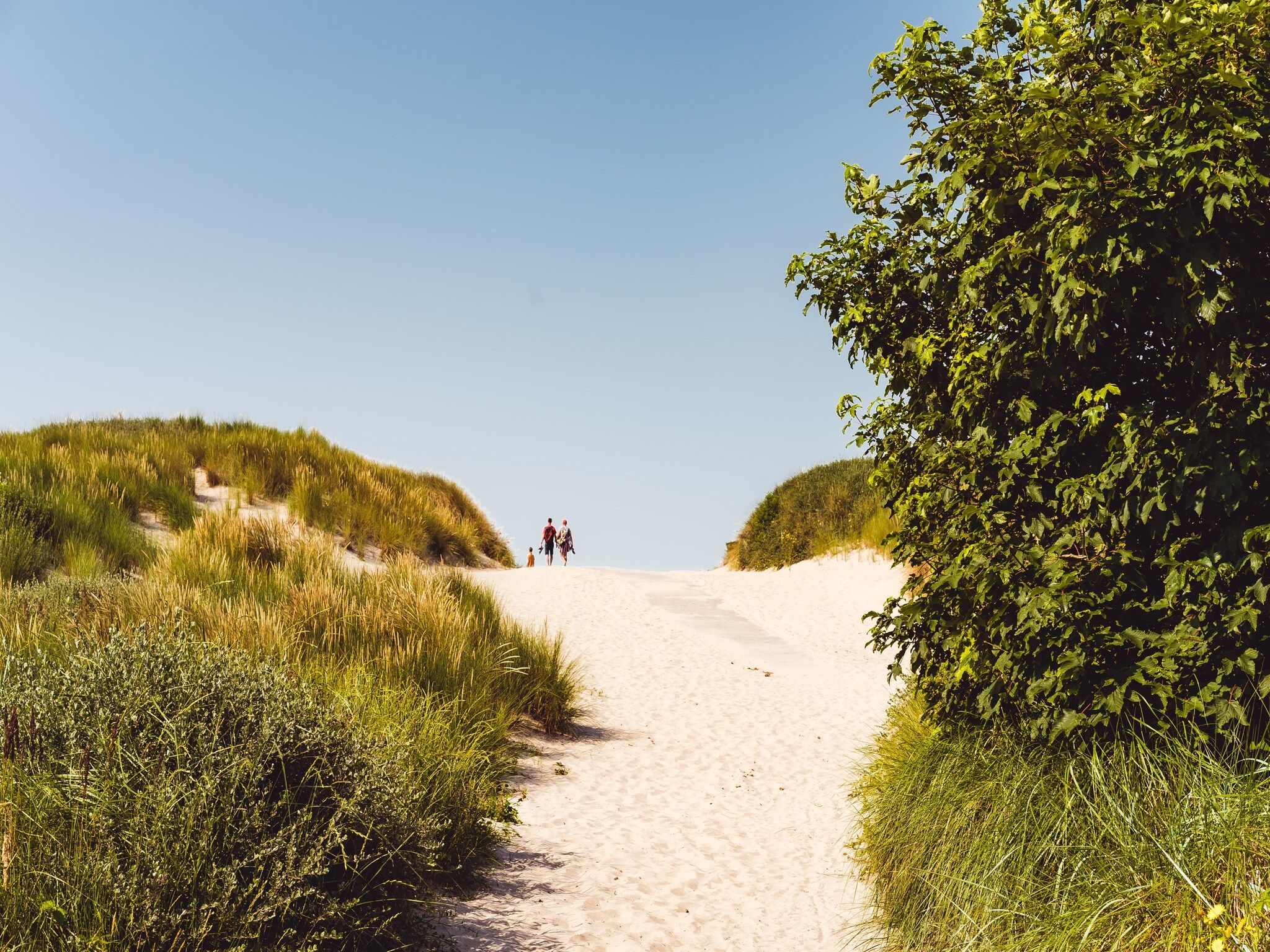 Sea Lodges Ameland 2 in Hollum - Foto 19 van 32