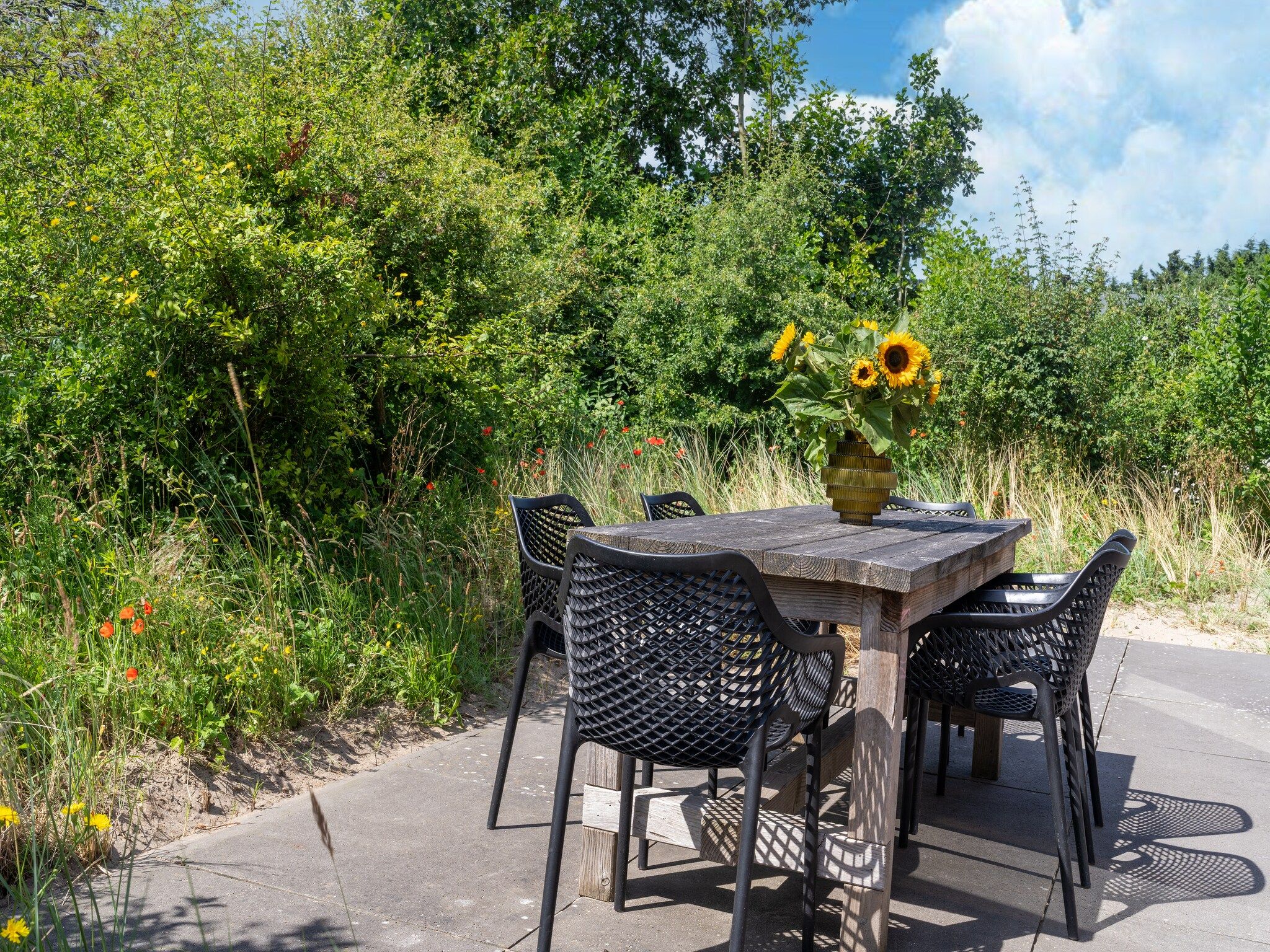 Het terras van Waterland in Egmond aan den Hoef