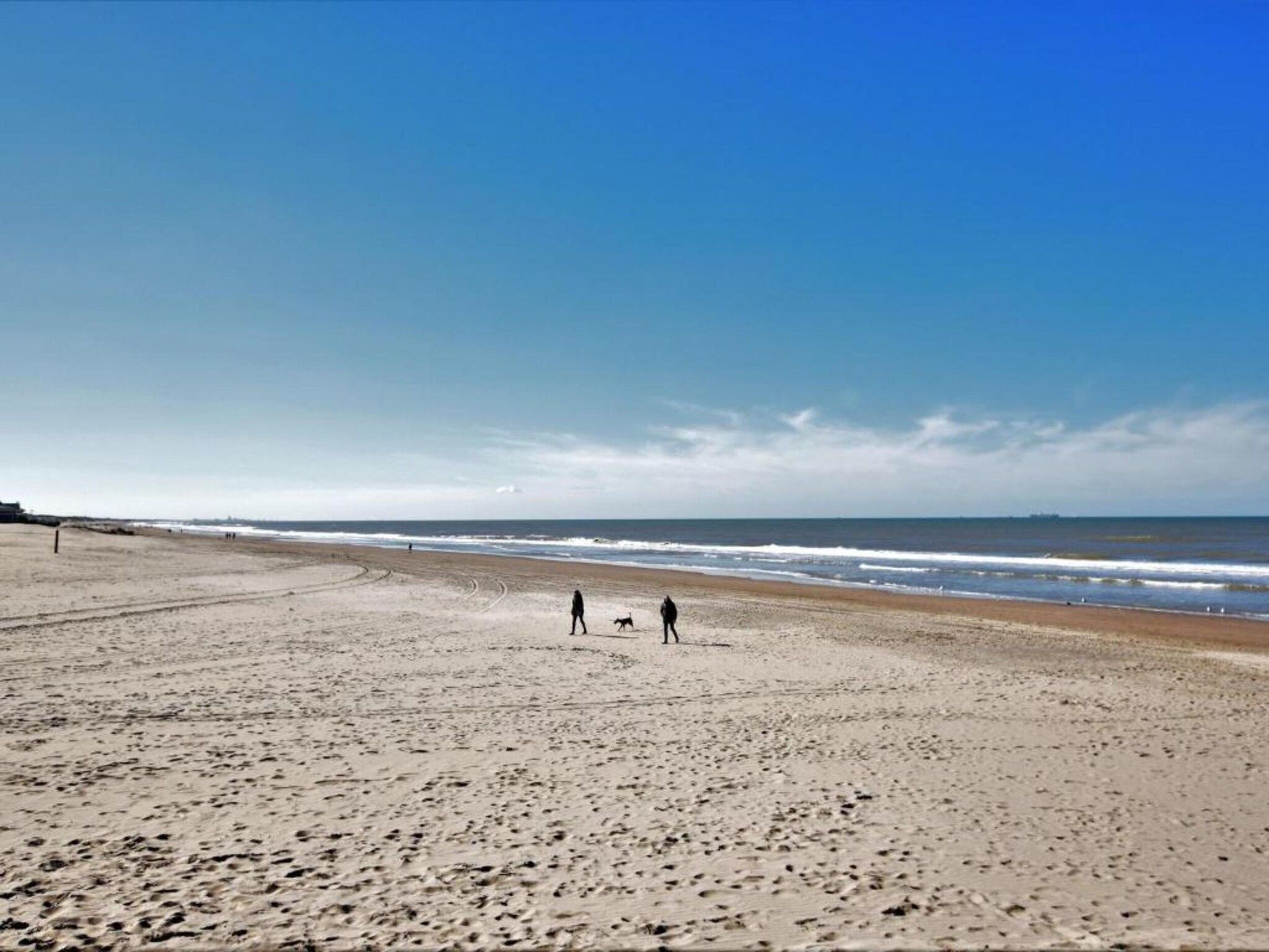 De omgeving van Bungalowpark de Gouden Spar 5 in Noordwijk