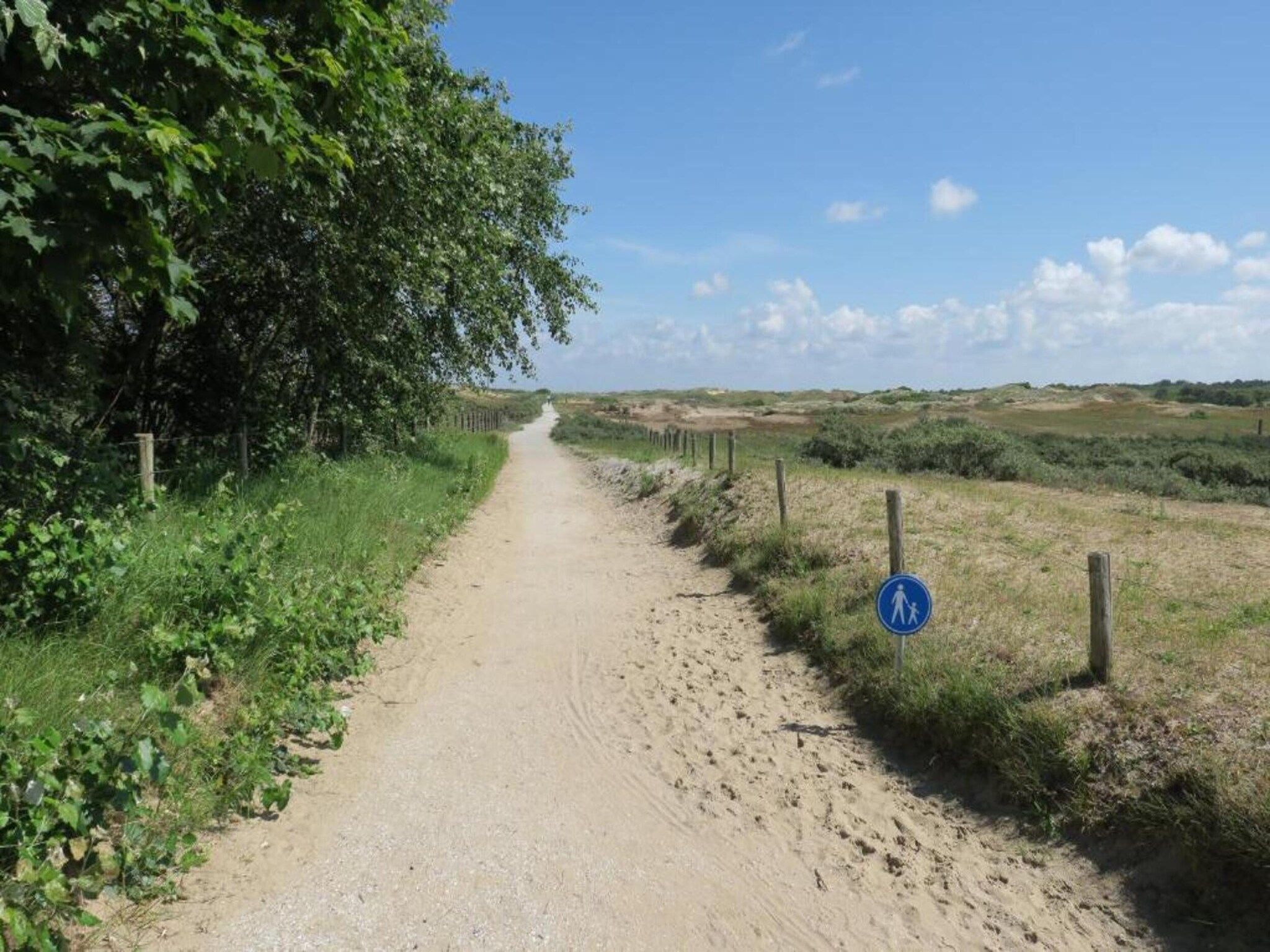 De omgeving van Bungalowpark de Gouden Spar 5 in Noordwijk