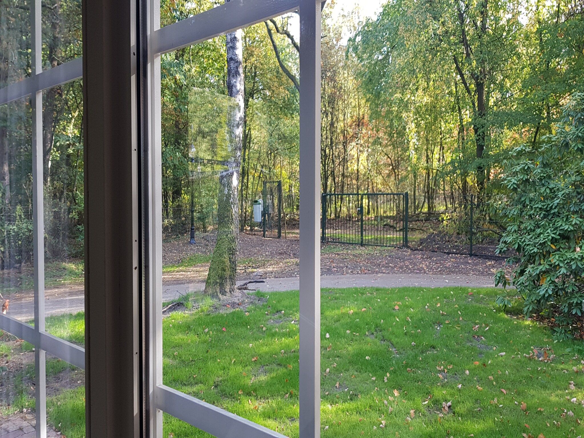 Het uitzicht vanaf Vakantiepark De Rimboe & De Woeste Hoogte 1 in Hoenderloo