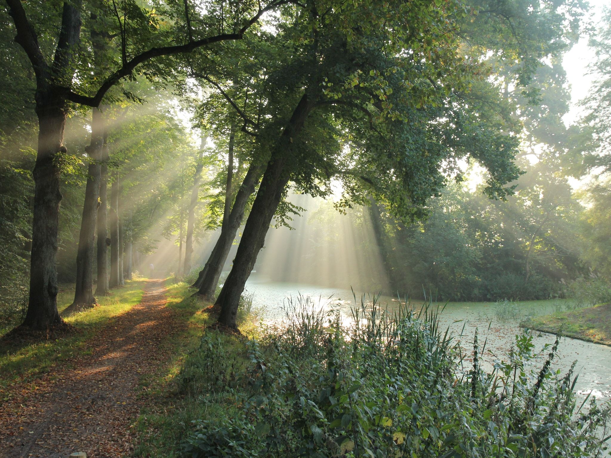 De omgeving van Huize Glory Bergkristal in Bergen aan Zee