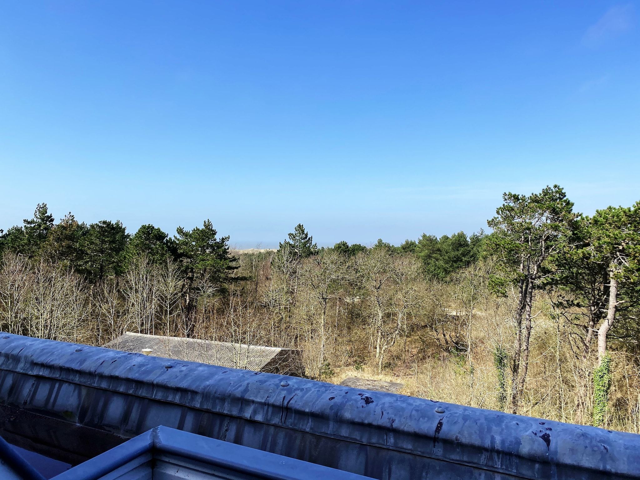 Het uitzicht vanaf Huize Glory Bergkristal in Bergen aan Zee