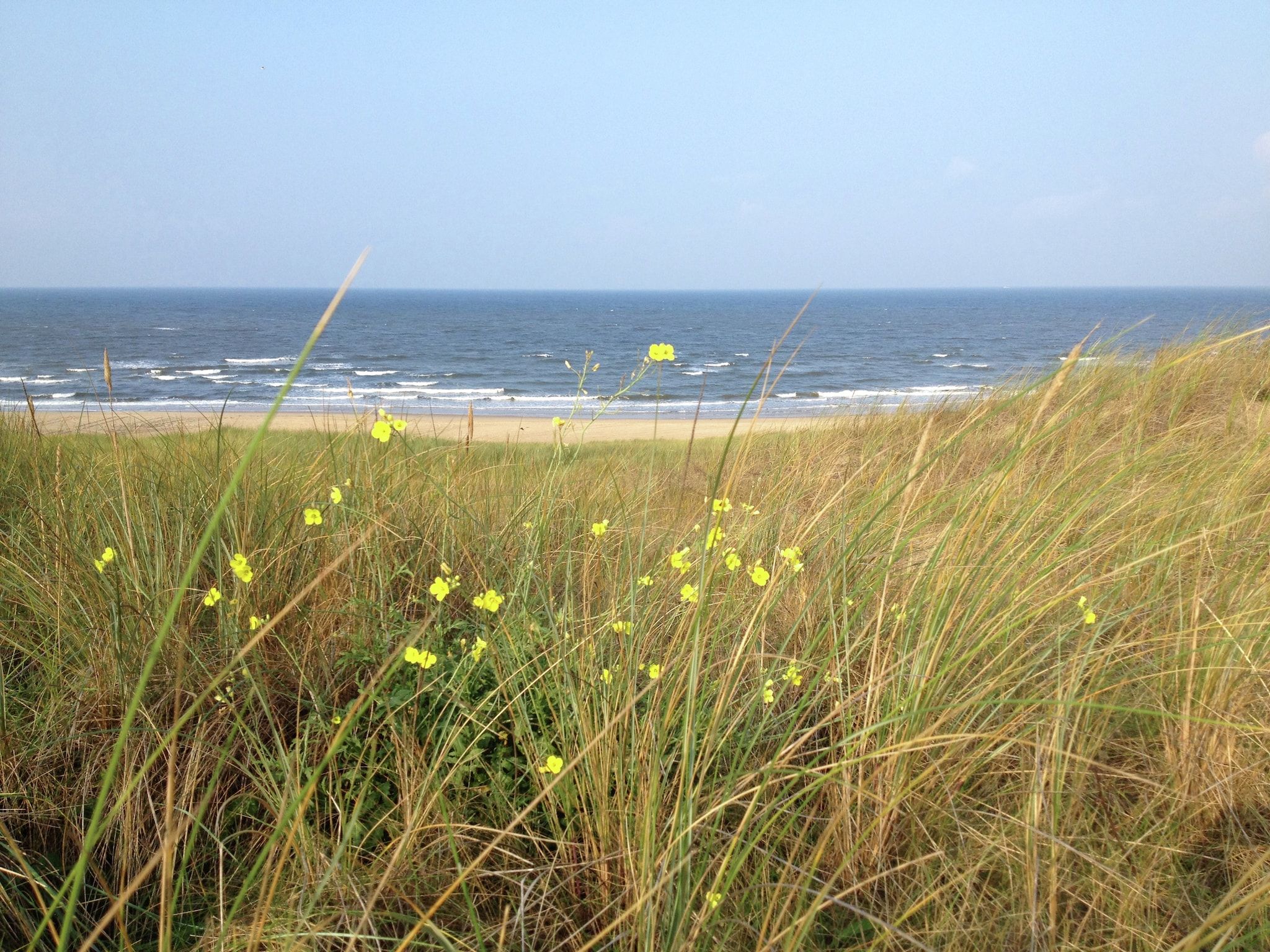 Huize Glory Smaragd in Bergen aan Zee - Foto 22 van 40
