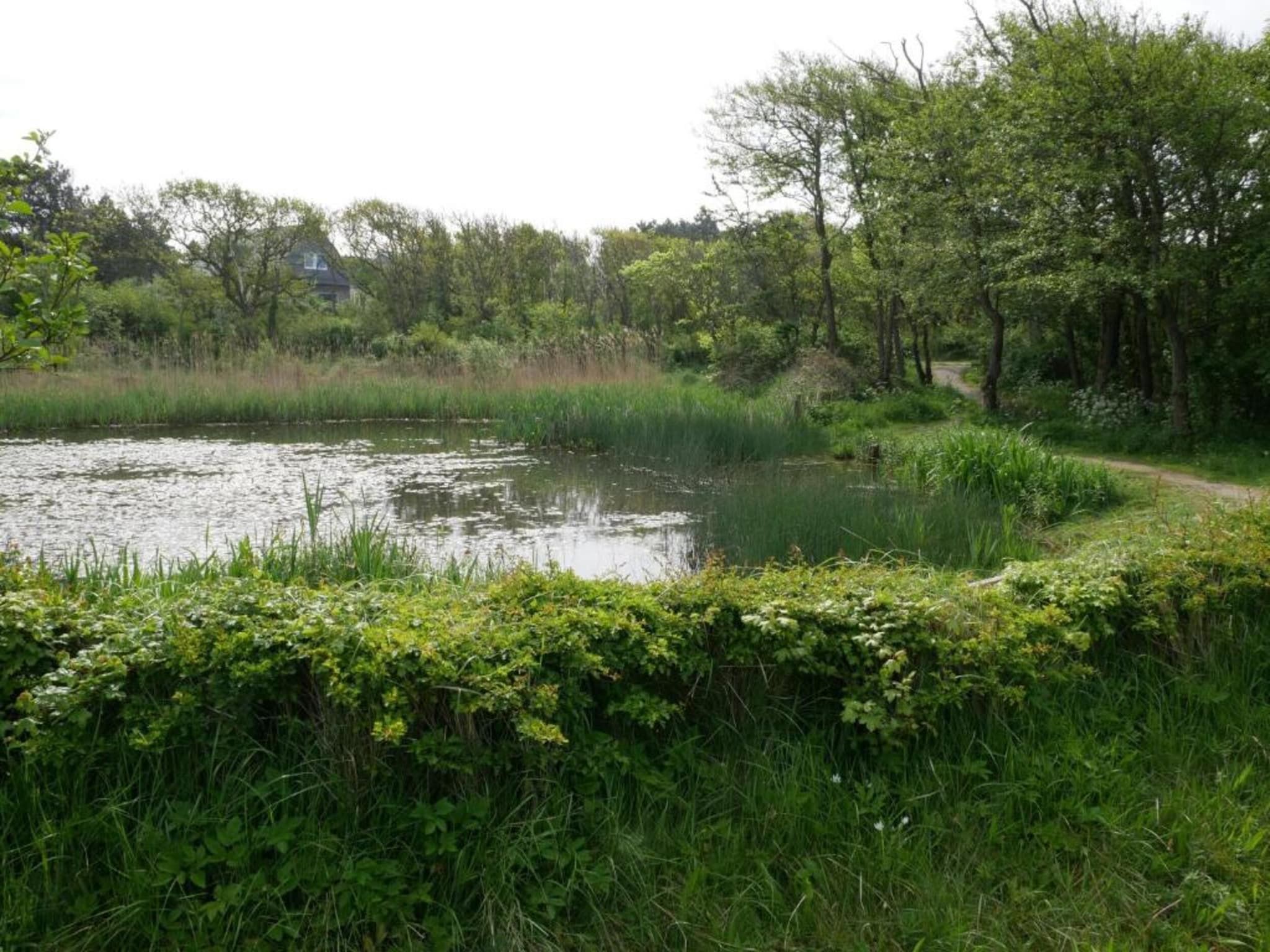 Huize Glory Smaragd in Bergen aan Zee - Foto 35 van 40