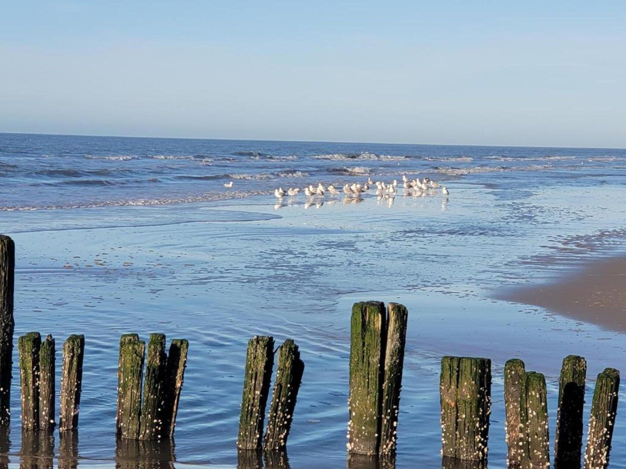 Huize Glory Robijn in Bergen aan zee - Foto 33 van 40