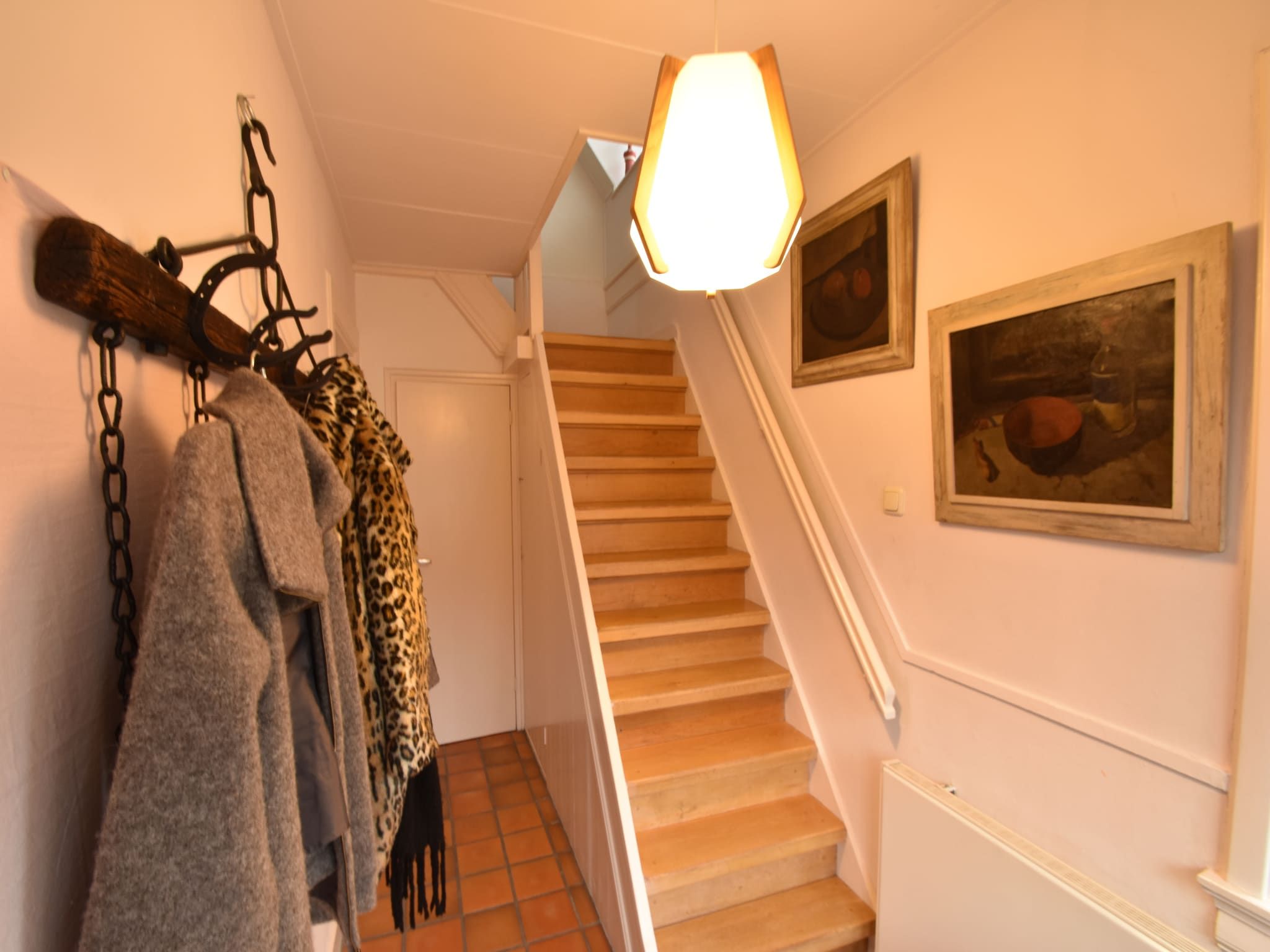 Bergens Roodborstje in Bergen - Foto 6 van 27