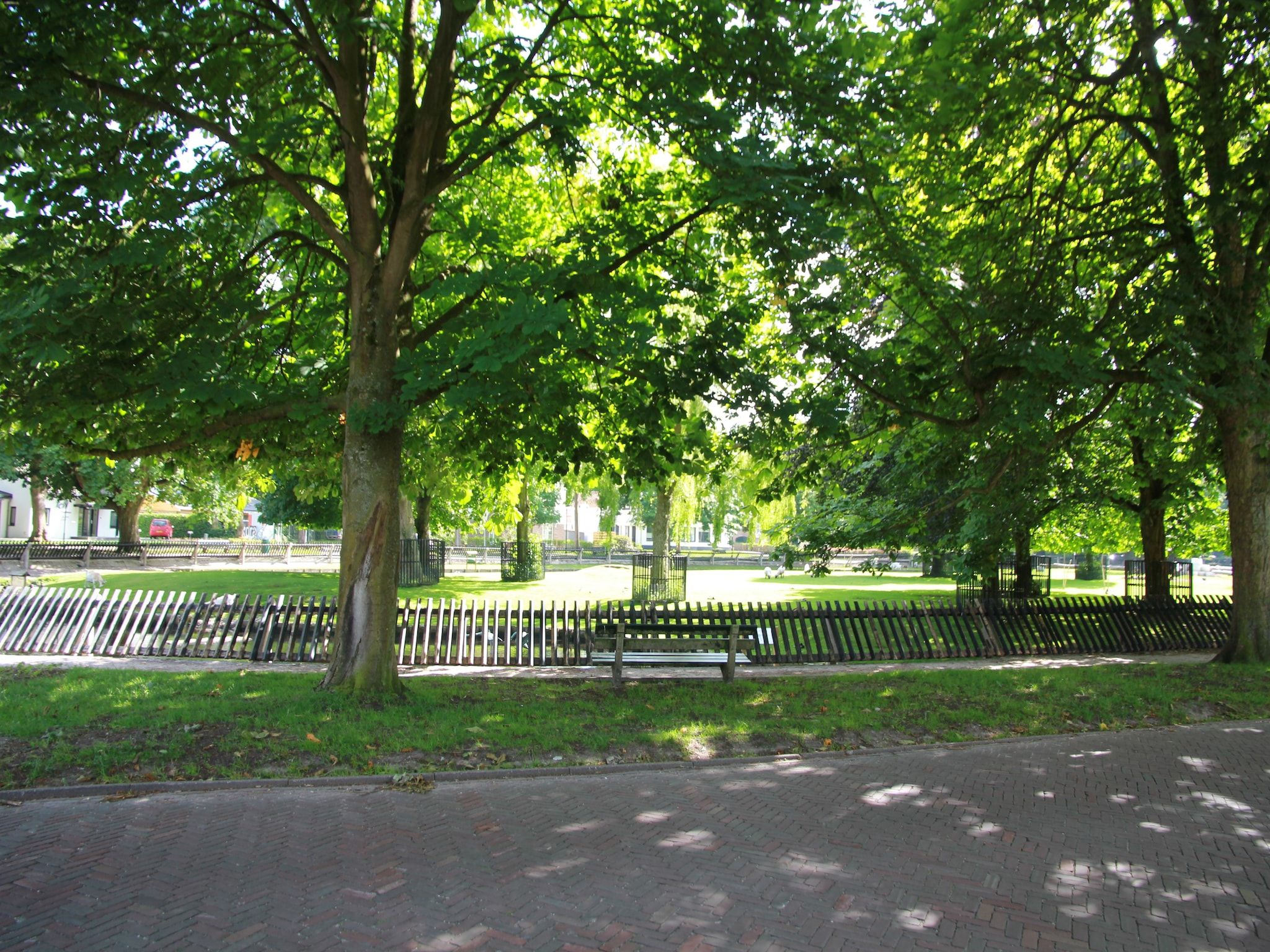 De omgeving van Bergens Roodborstje in Bergen