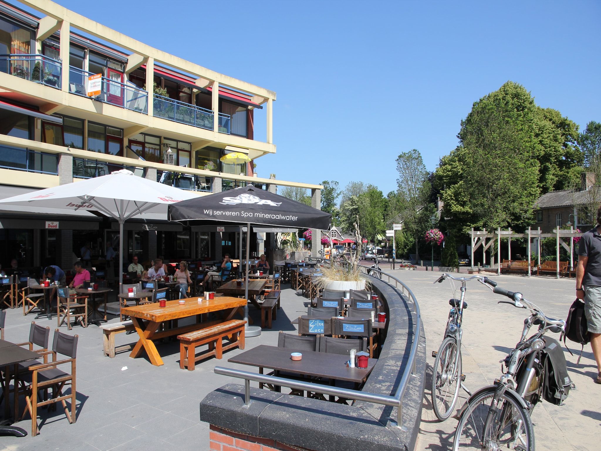 Bergens Roodborstje in Bergen - Foto 26 van 27