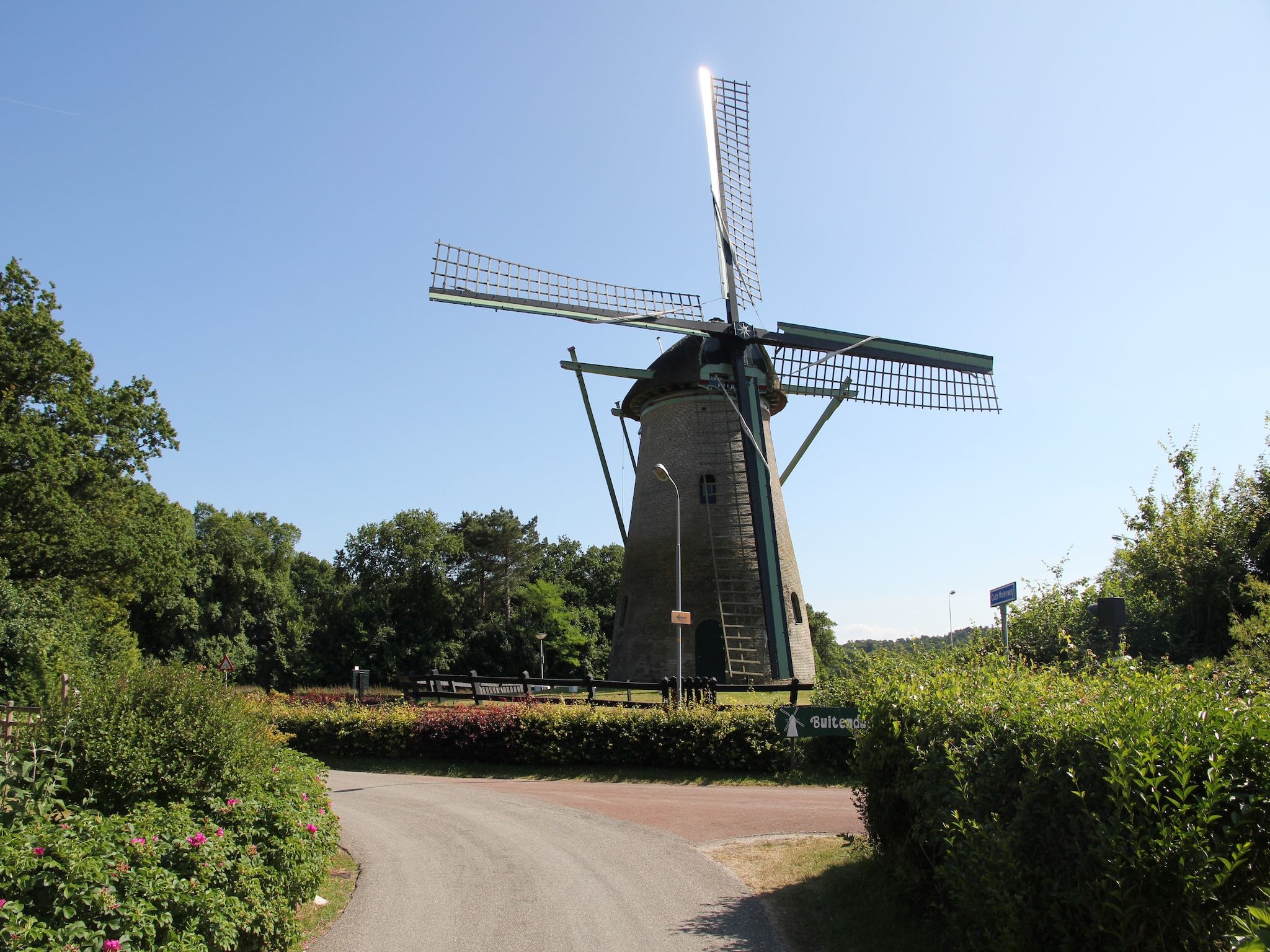 Bergens Roodborstje in Bergen - Foto 27 van 27