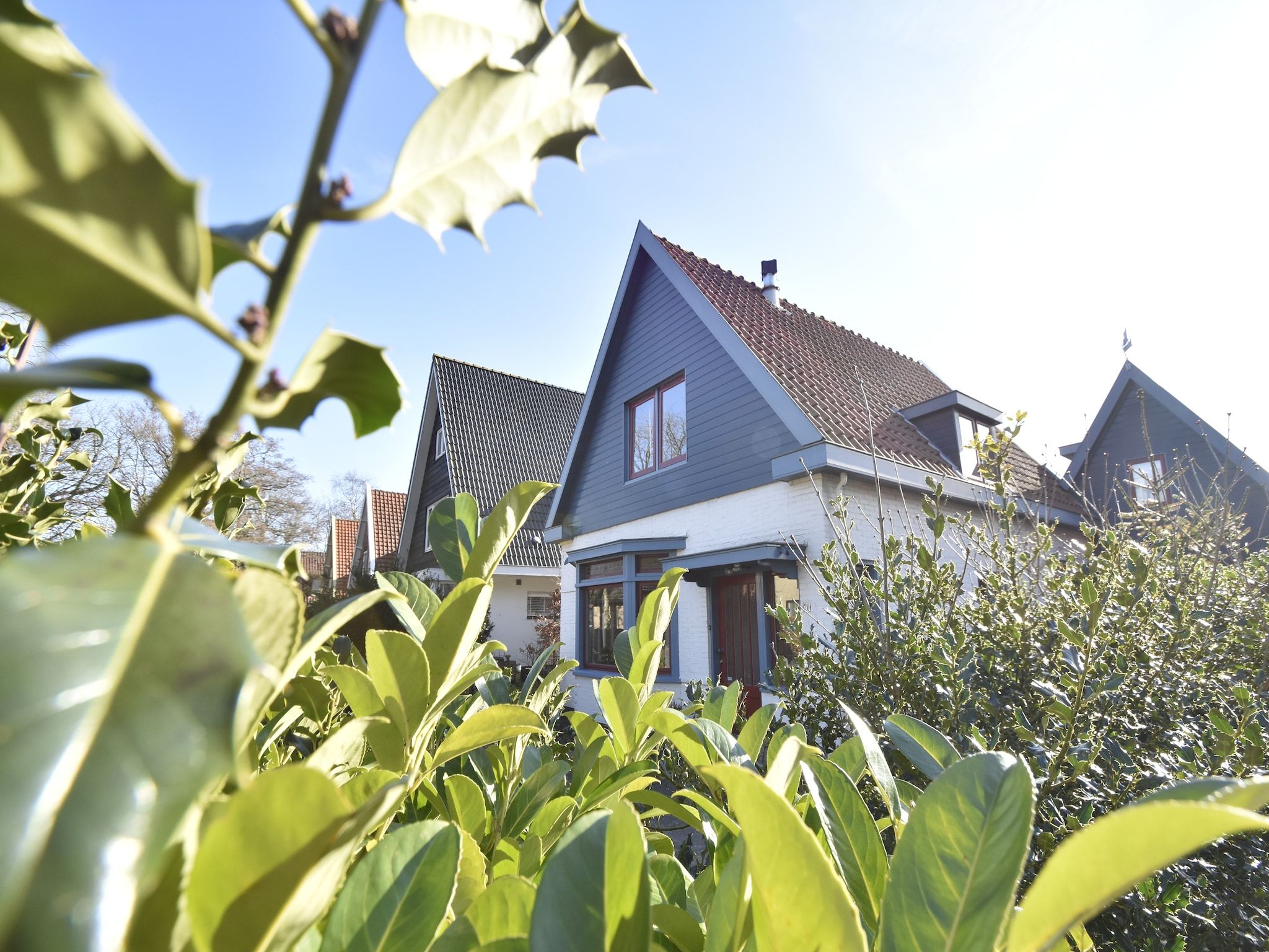 De buitenkant van Bergens Roodborstje in Bergen