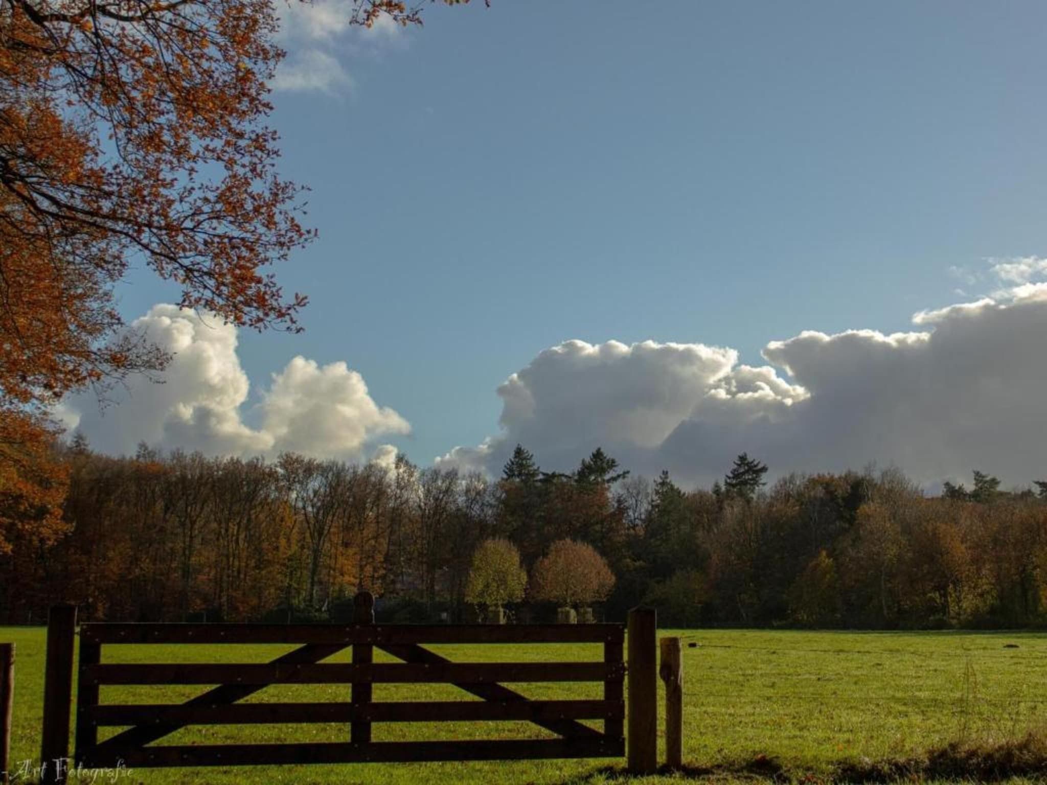 Weidse Blik in Kattendijke - Foto 34 van 40