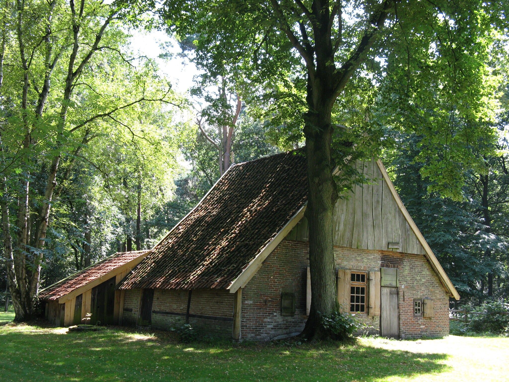 De omgeving van Landrijk de Reesprong 2 in Buurse