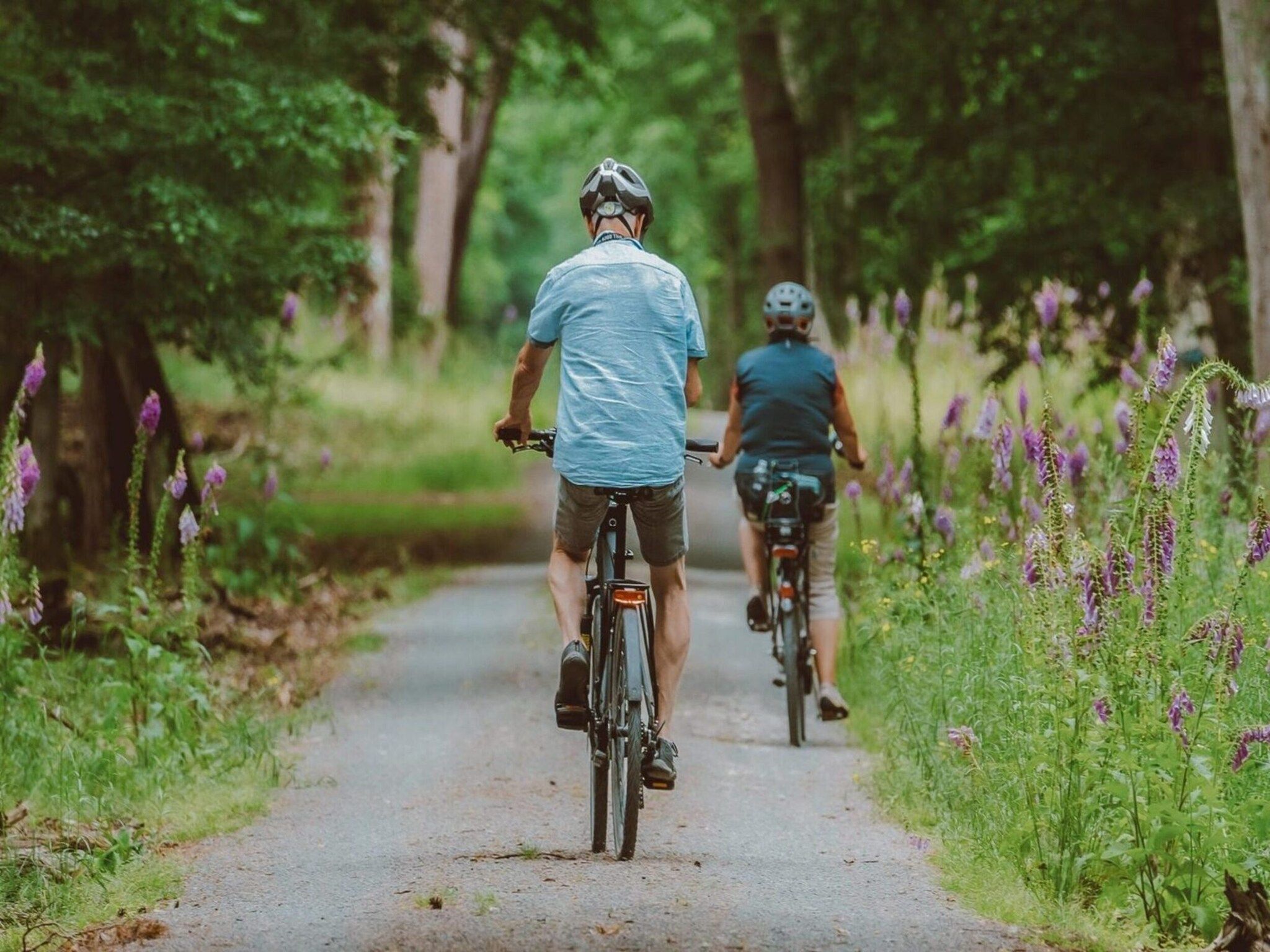 Parkfaciliteiten bij Recreatiepark de Boshoek 15 in Voorthuizen