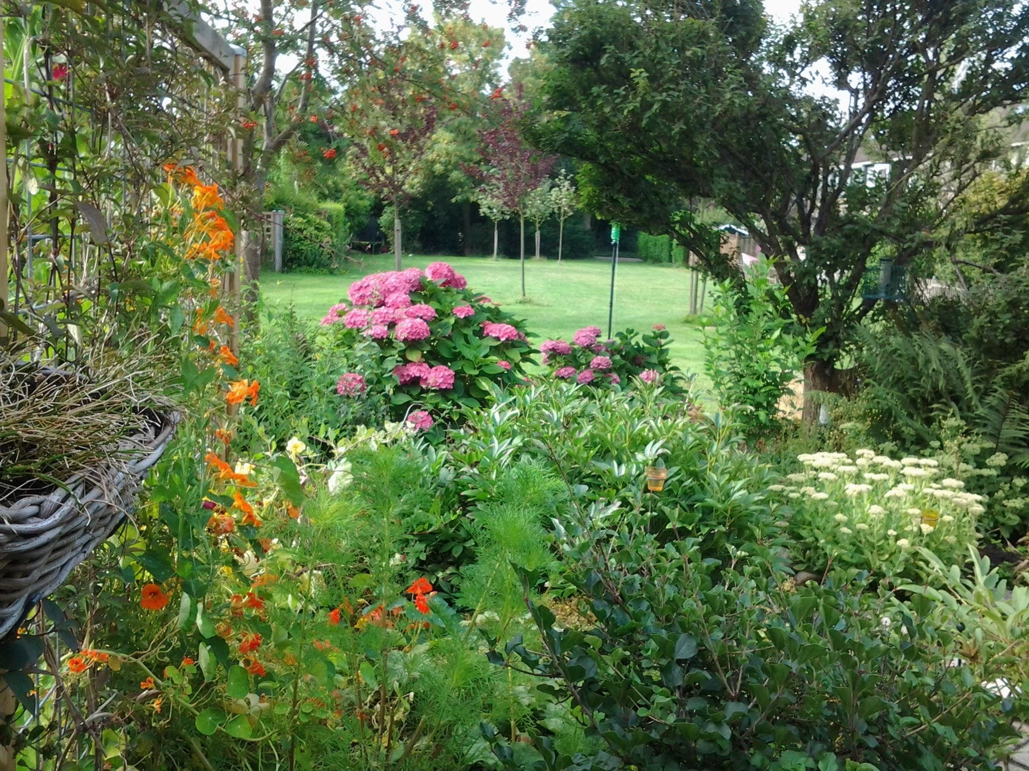 Het uitzicht vanaf Elzendreef in Voorburg