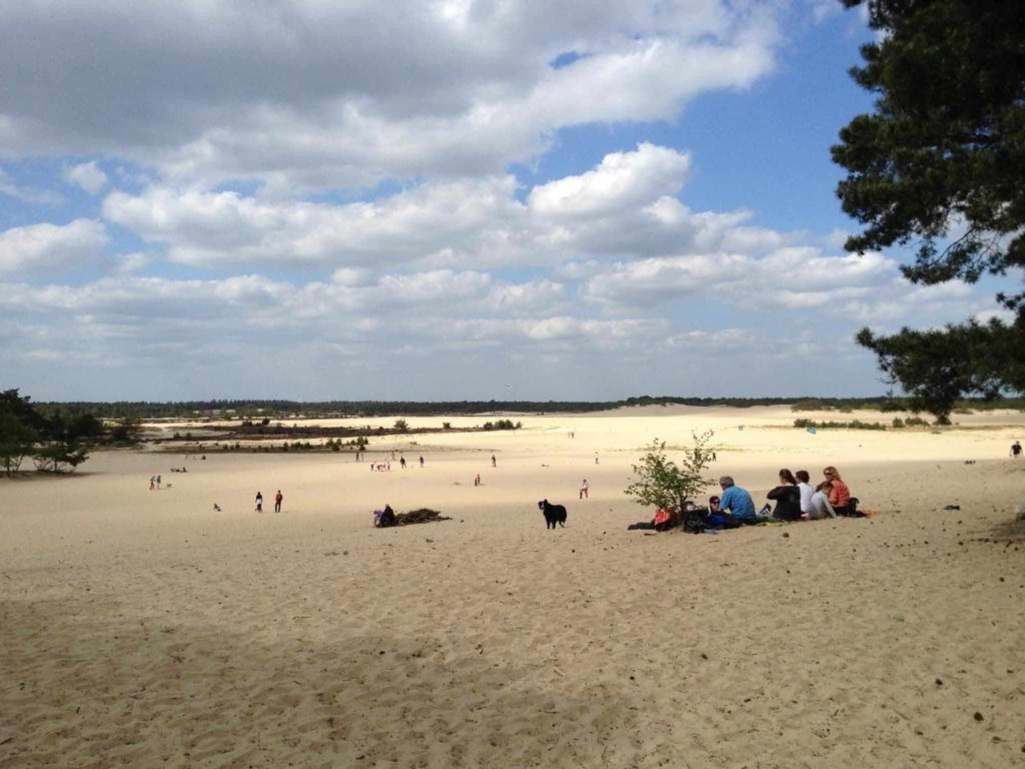 Recreatiepark Duinhoeve 4 in Udenhout - Foto 39 van 40