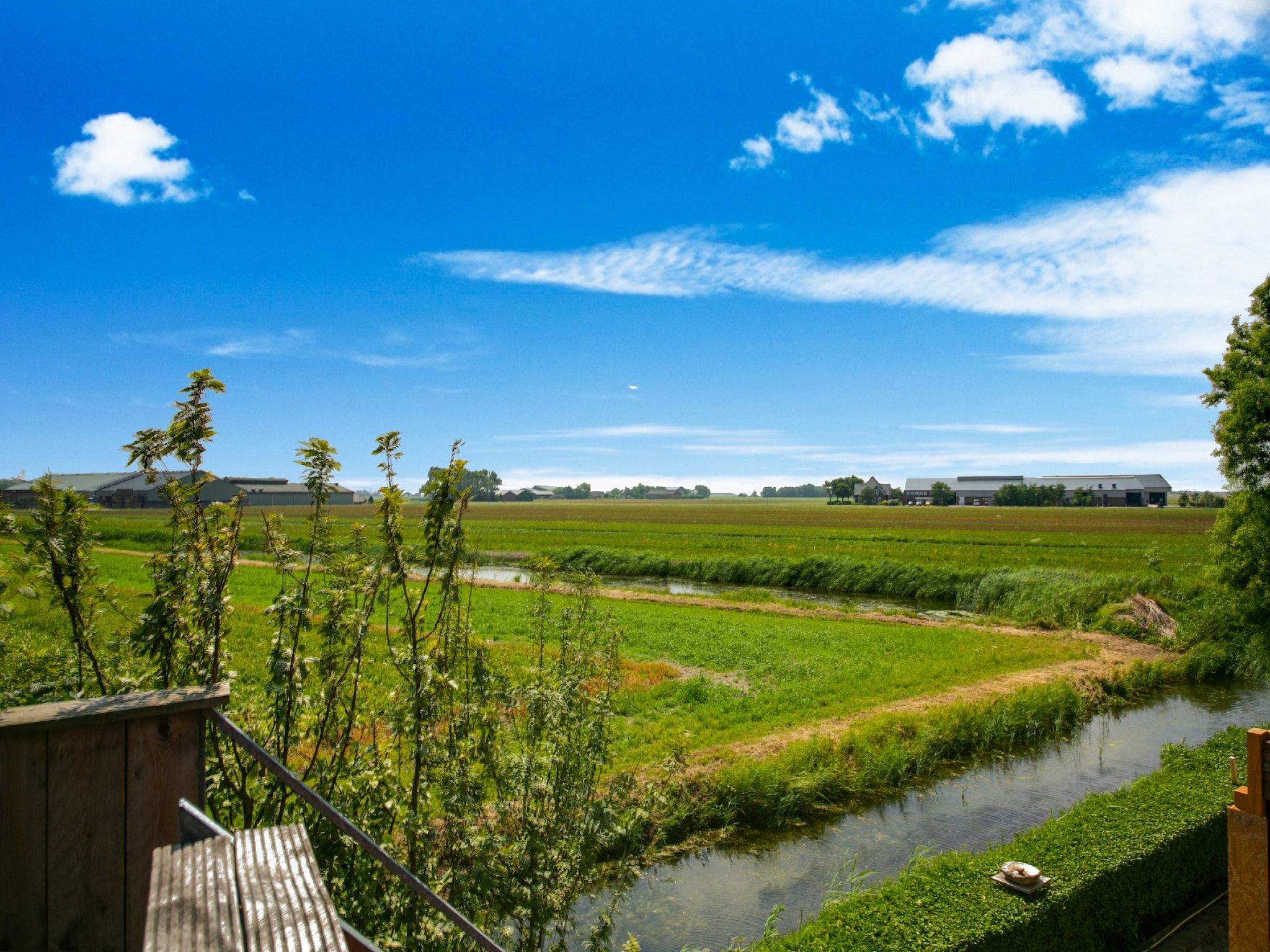 Het uitzicht vanaf Zilte Bries in Callantsoog