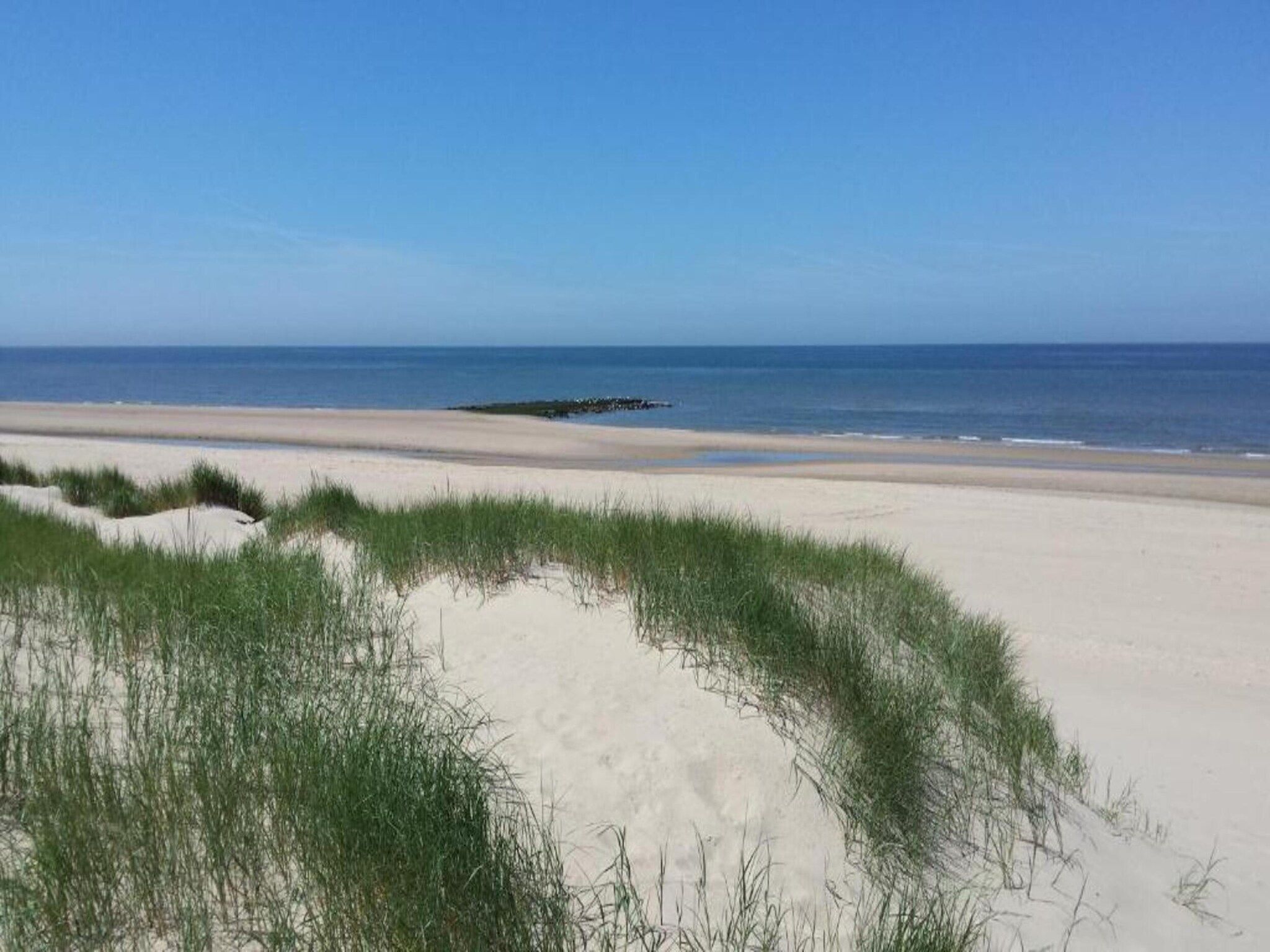 Zilte Bries in Callantsoog - Foto 26 van 35