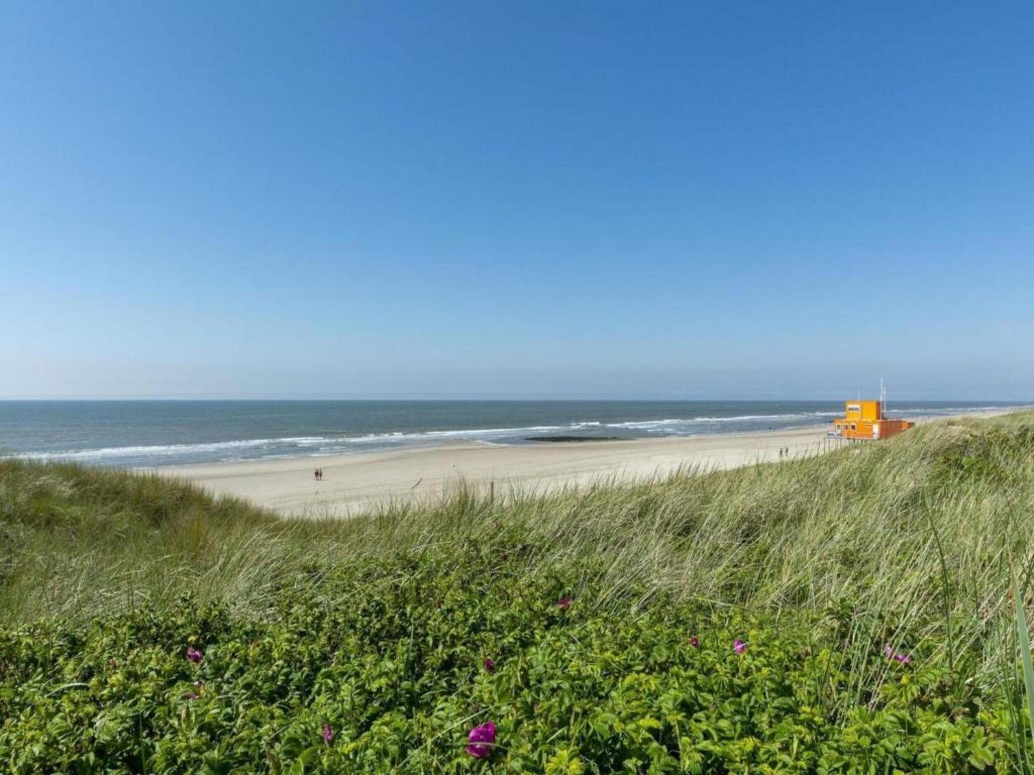 Zilte Bries in Callantsoog - Foto 22 van 35