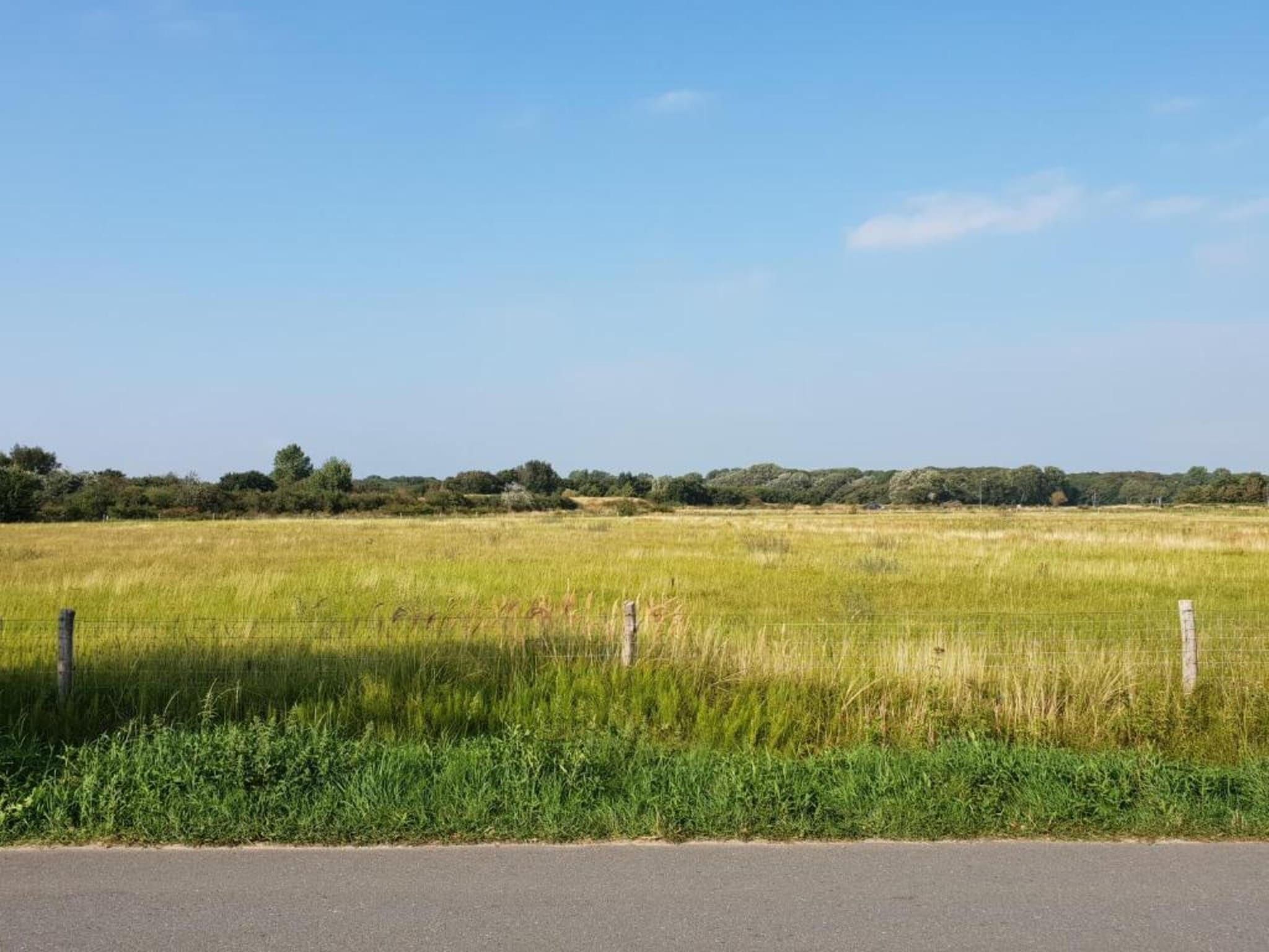 Het Hoge Noorden in Hippolytushoef - Foto 27 van 40