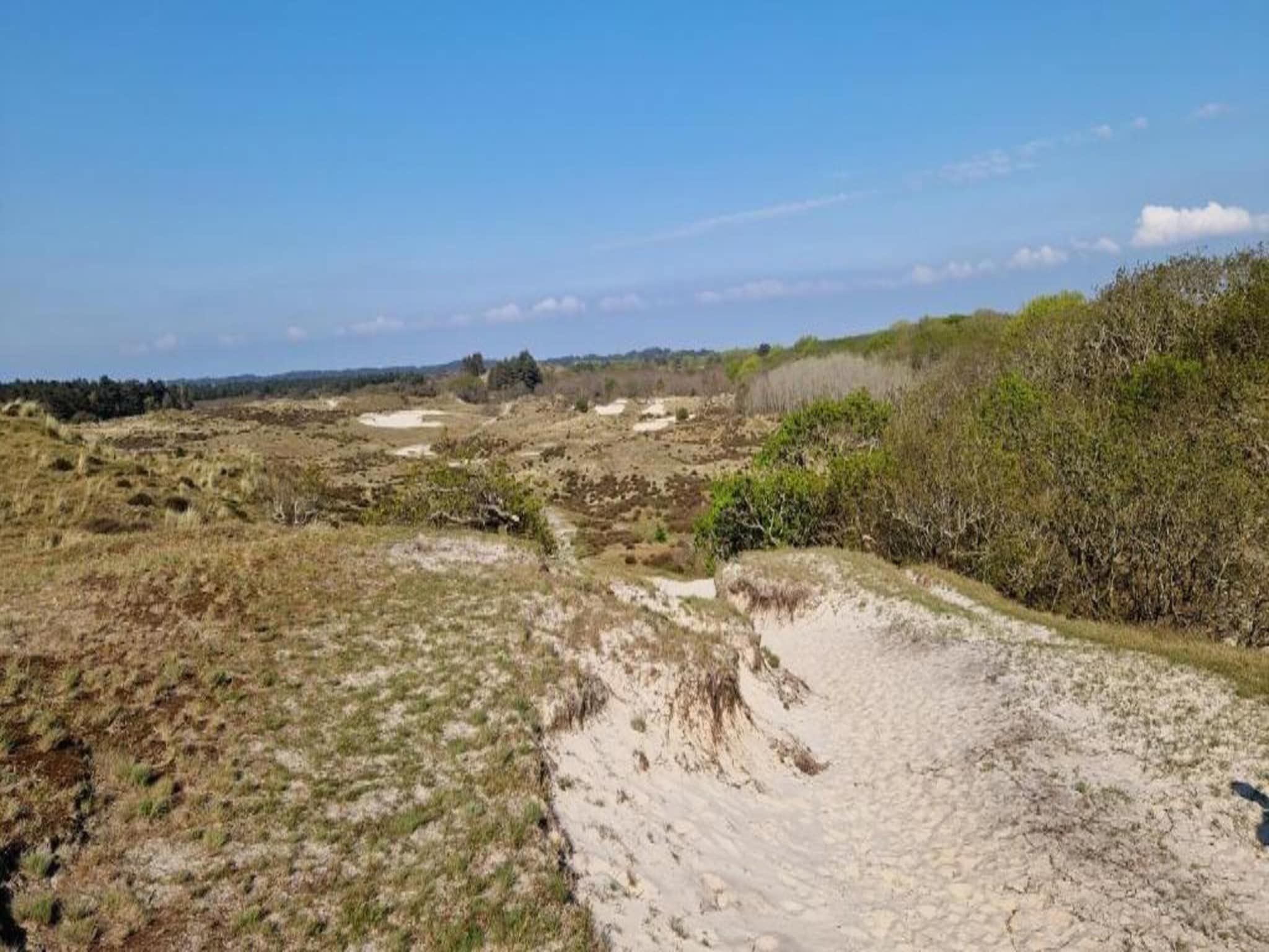 Het Hoge Noorden in Hippolytushoef - Foto 30 van 40