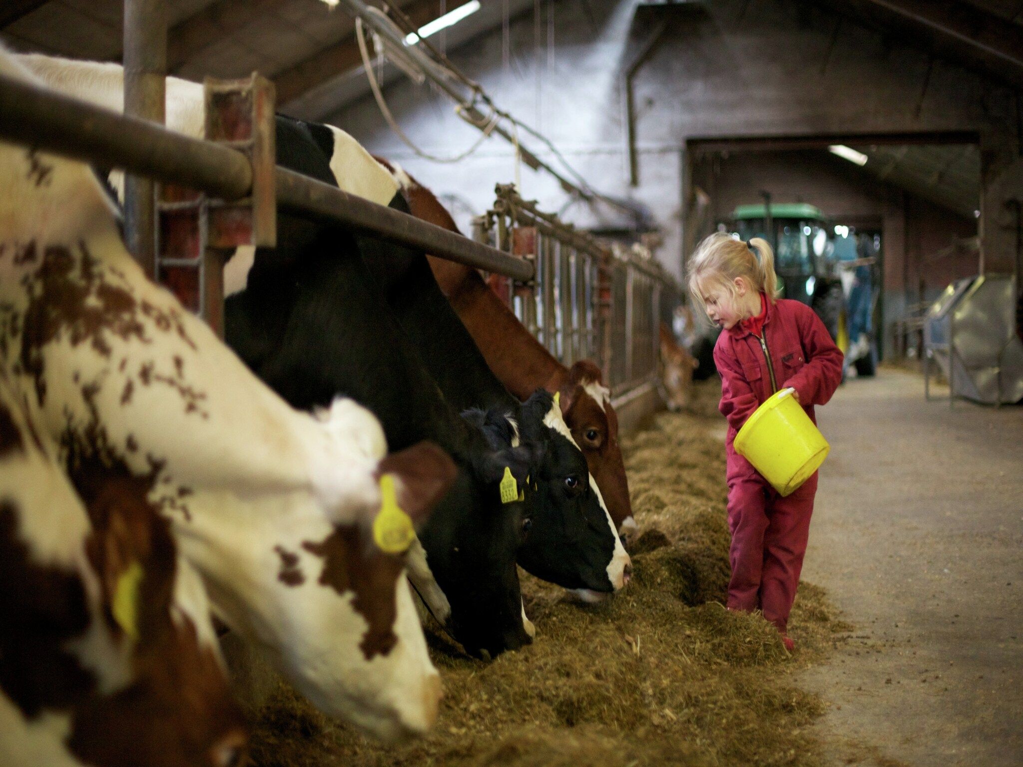 Voorzieningen bij Koe in de Kost 3 in Heeten