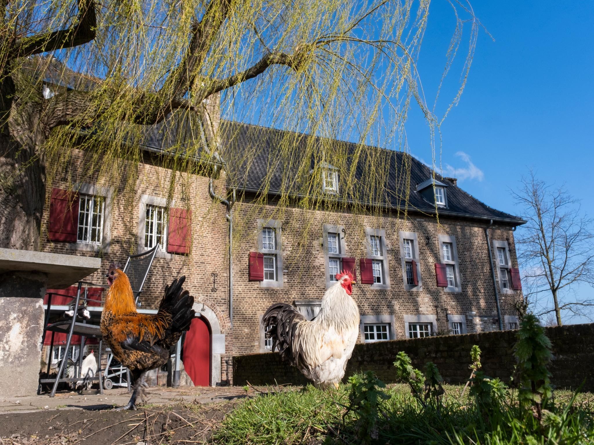 Voorzieningen bij Meschermolen 7 in Mesch-Eijsden