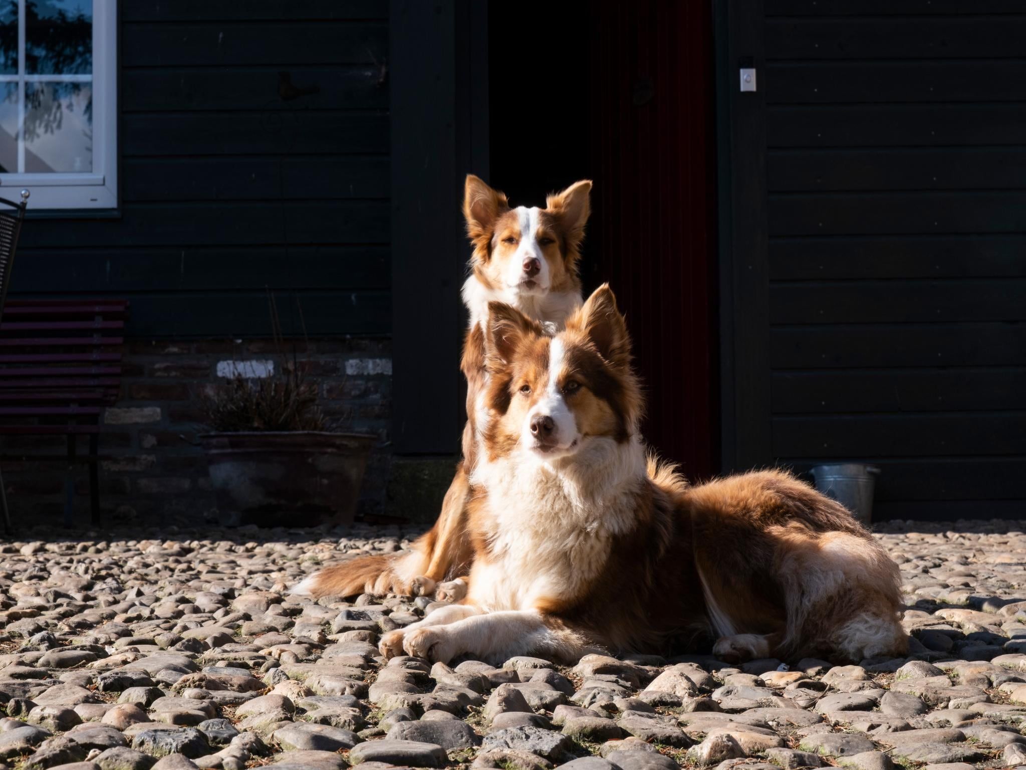 Voorzieningen bij Meschermolen 7 in Mesch-Eijsden