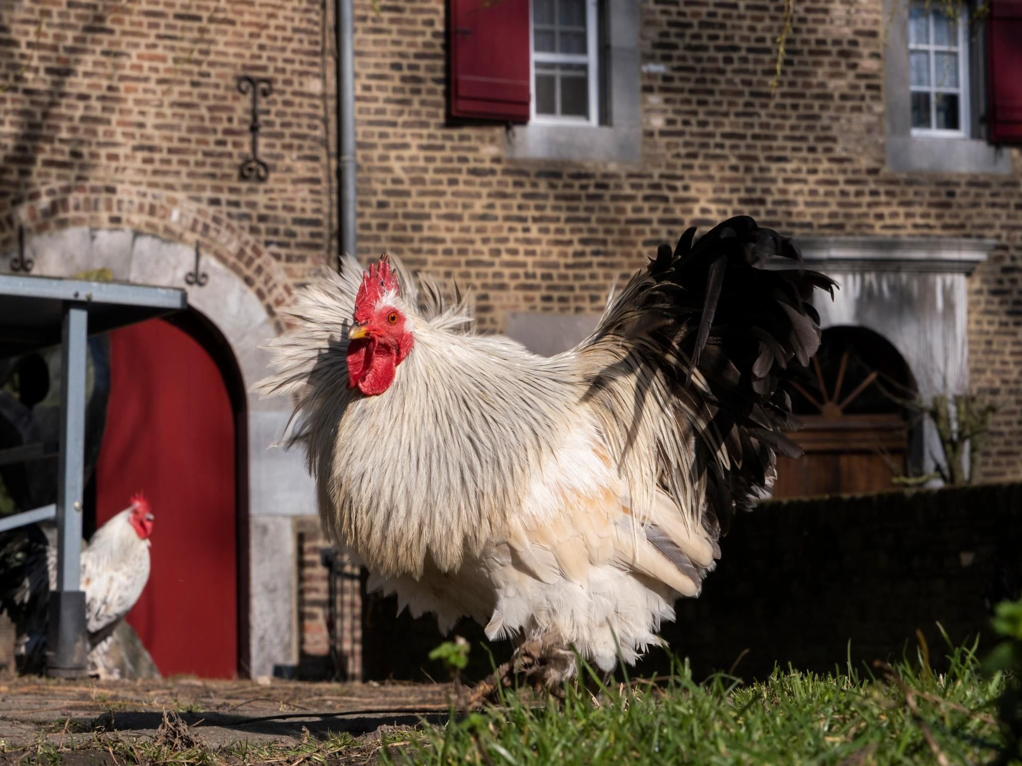 Voorzieningen bij Meschermolen 7 in Mesch-Eijsden