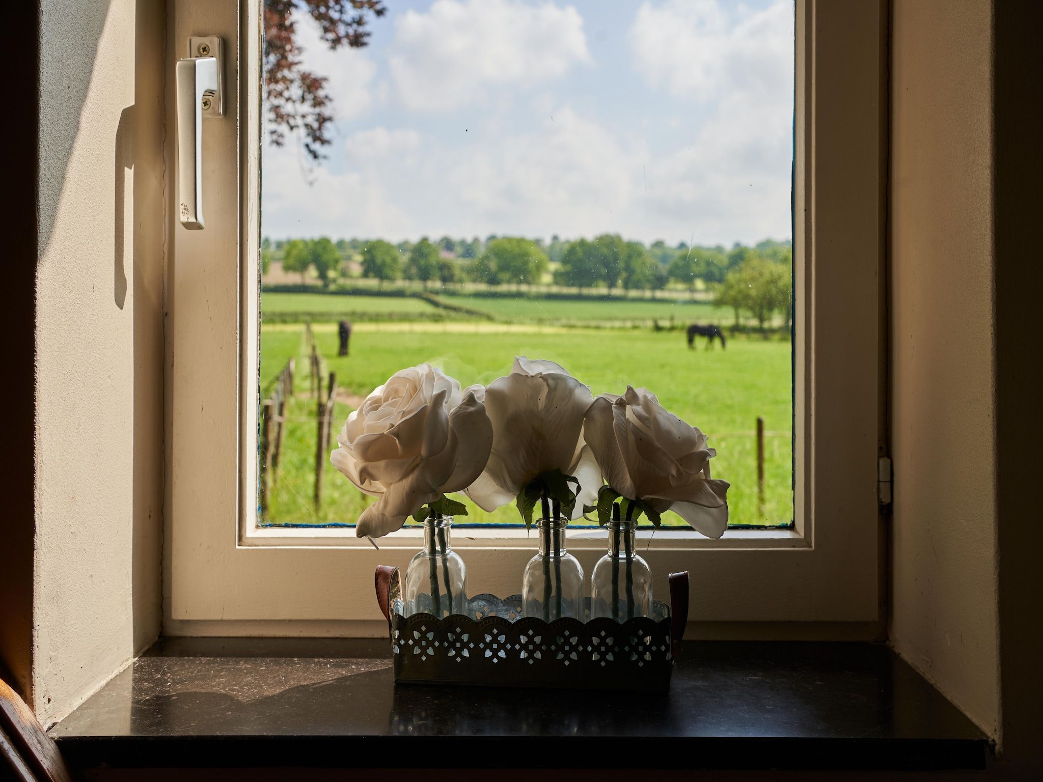 De tuin van Meschermolen 11 in Mesch-Eijsden