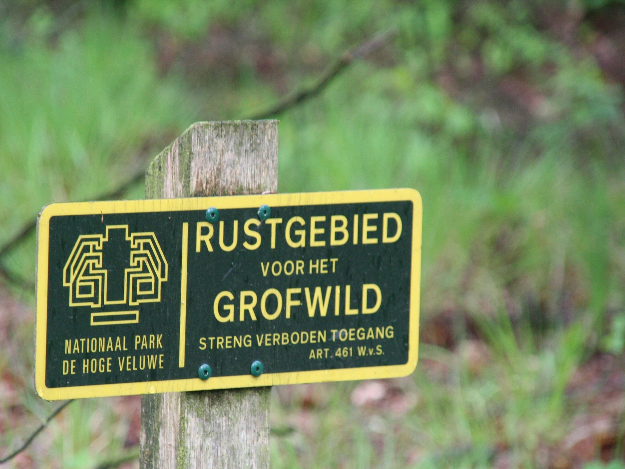 De omgeving van Veluwse Specht in Garderen
