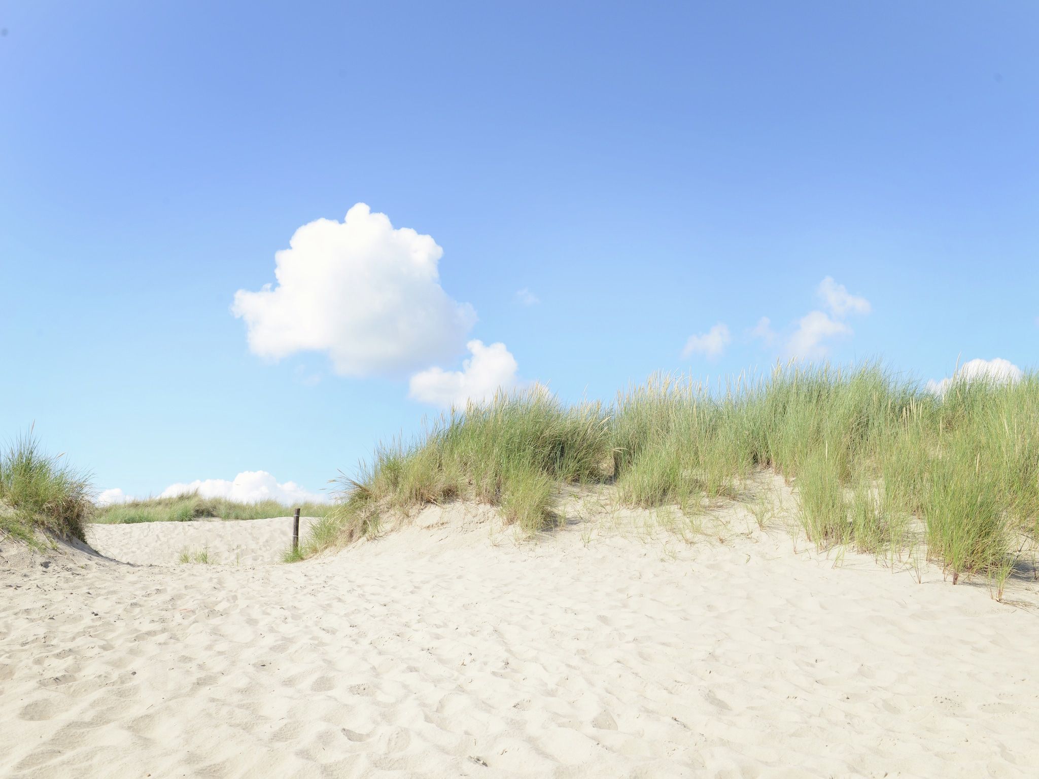 Storm Bries in Callantsoog - Foto 31 van 36