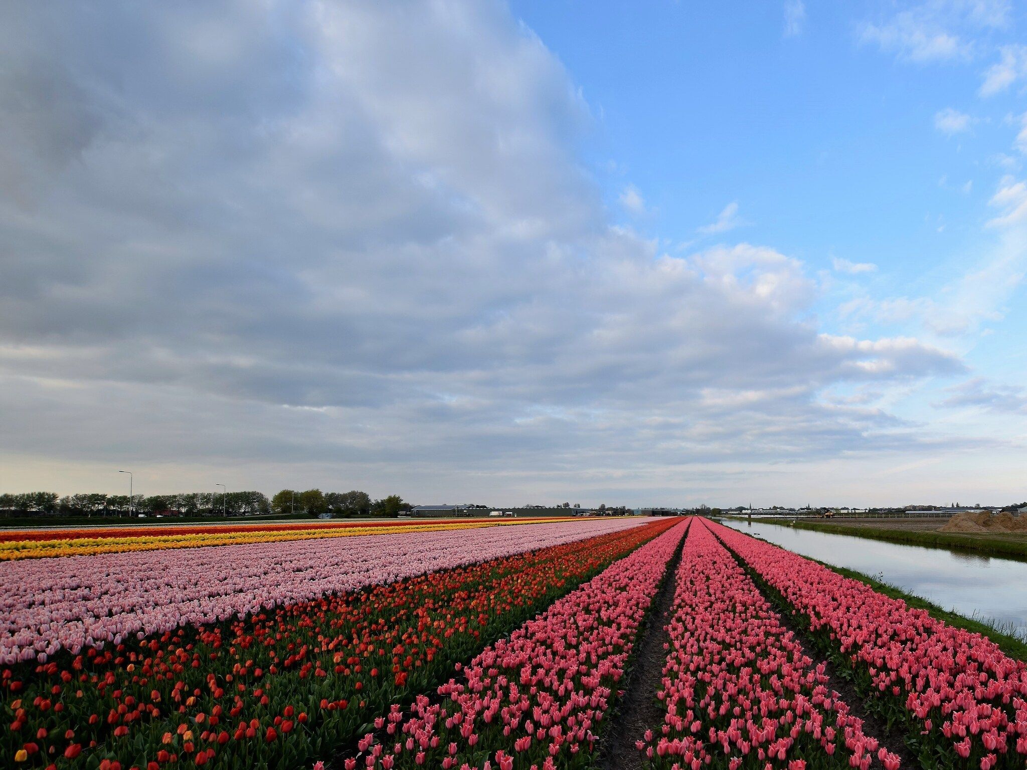 De omgeving van De Zilvermeeuw in Noordwijk