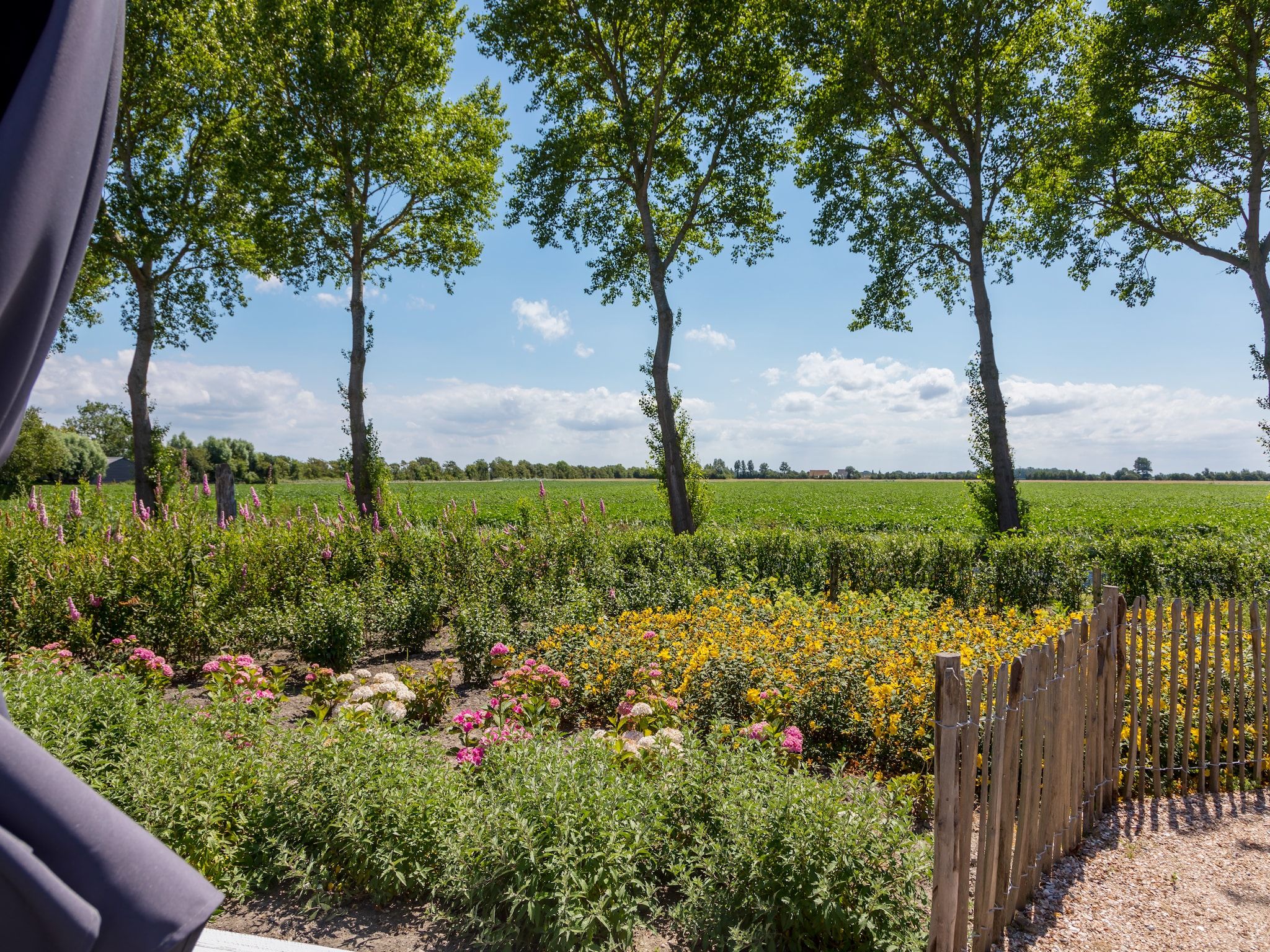 De tuin van Lepelstraat 18A  Vrouwenpolder "'t Blauwtje" in Vrouwenpolder