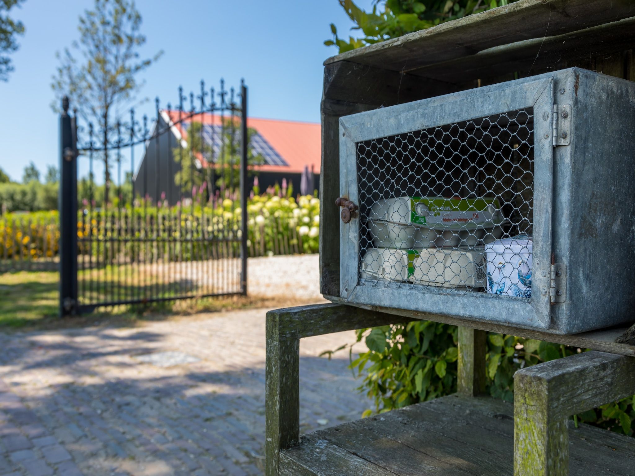 Sfeerbeeld van Lepelstraat 18A  Vrouwenpolder "'t Blauwtje" in Vrouwenpolder