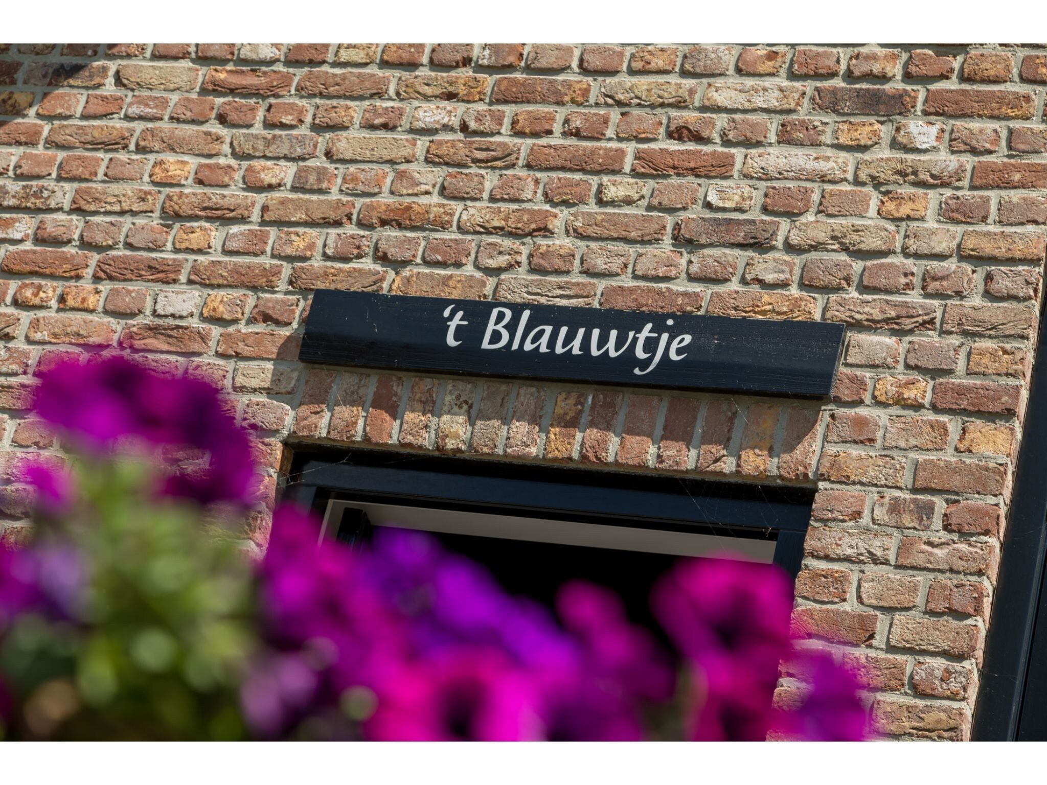 Sfeerbeeld van Lepelstraat 18A  Vrouwenpolder "'t Blauwtje" in Vrouwenpolder