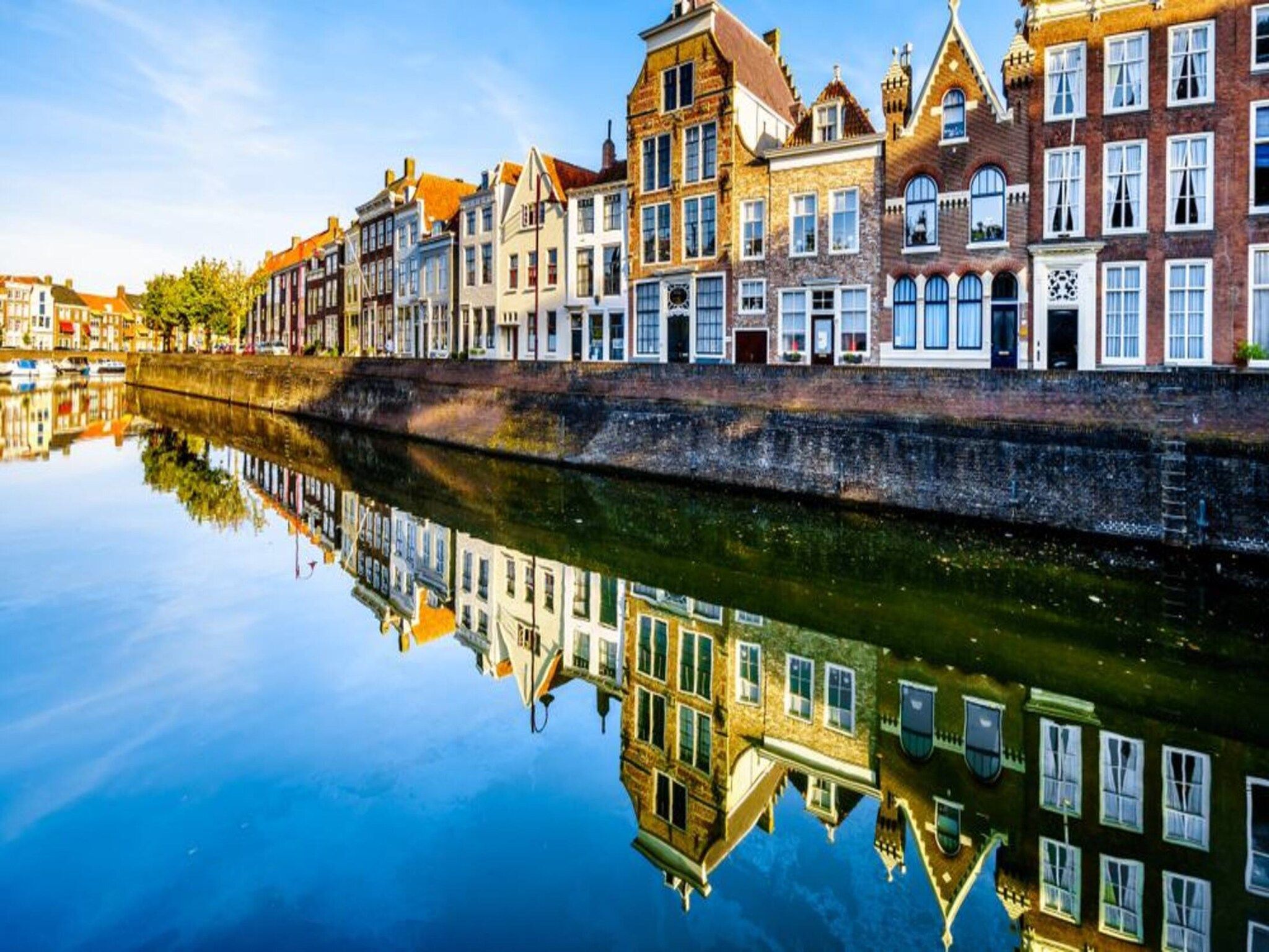 De omgeving van Aparthotel Zoutelande - Luxe 3-persoons comfort appartement in Zoutelande